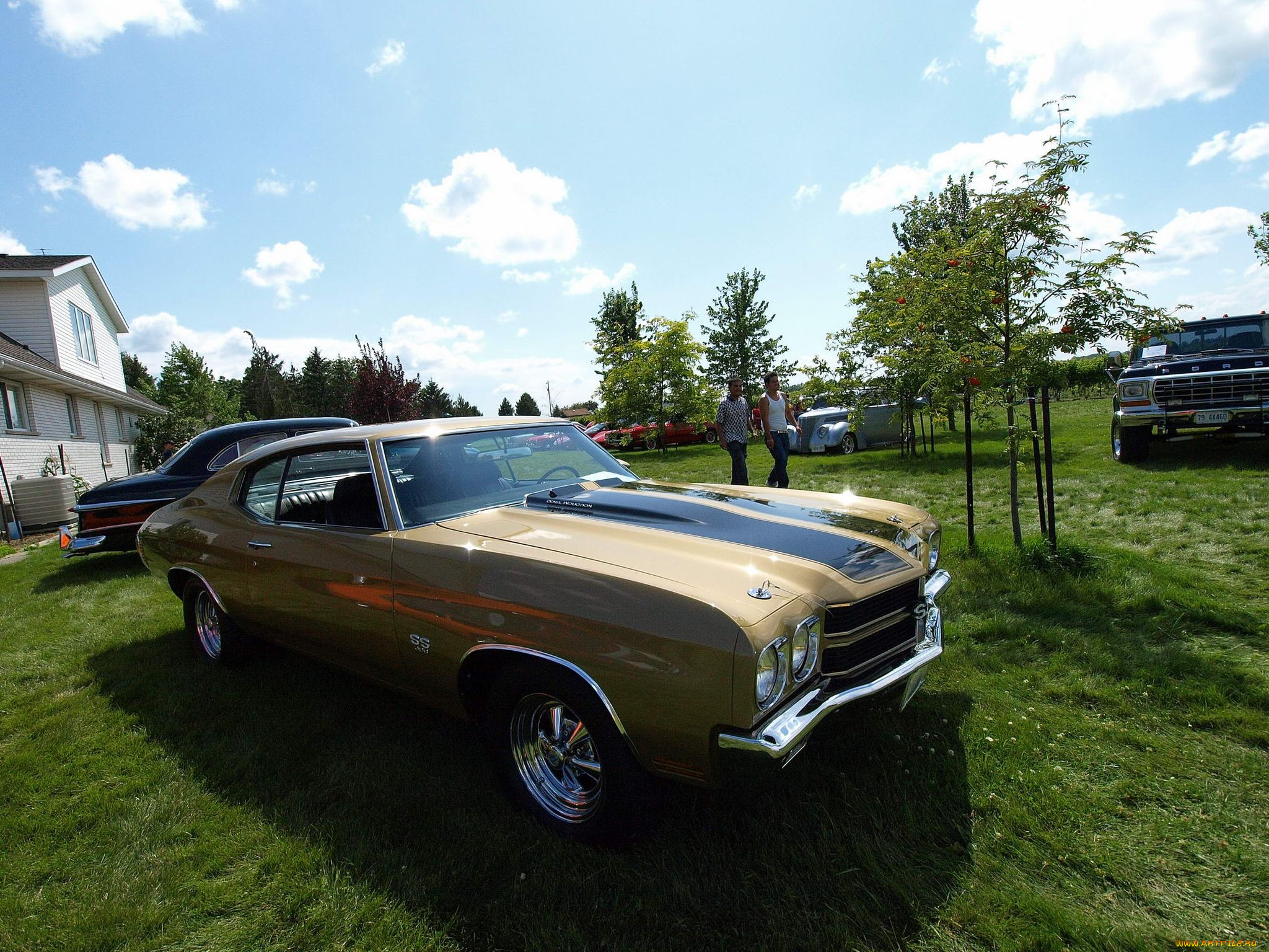 автомобили, выставки, уличные, фото