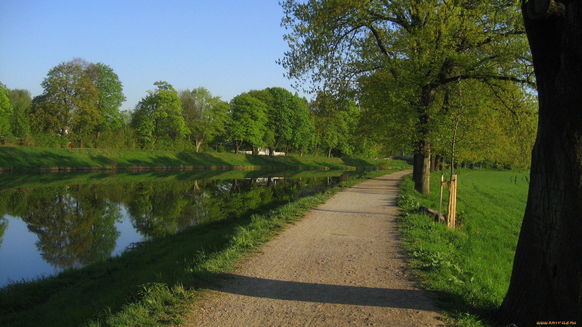 природа, дороги, дорога, речка, деревья