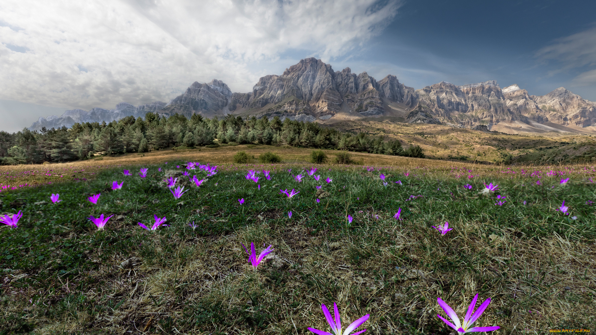 природа, луга, горы