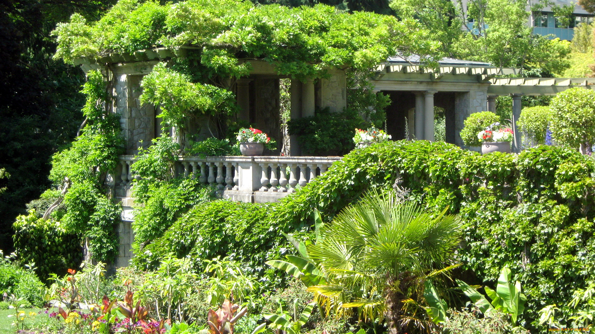 природа, парк, беседка, кусты, цветы