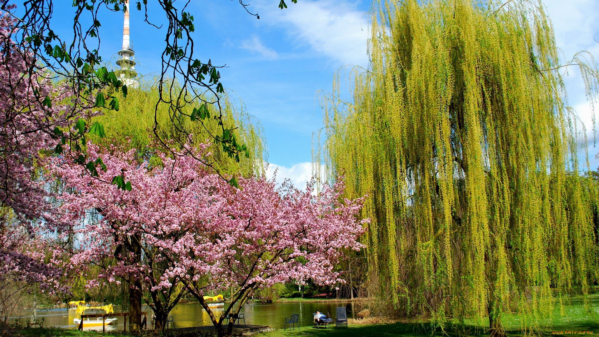 природа, парк, деревья, вышка, лодки, водоем