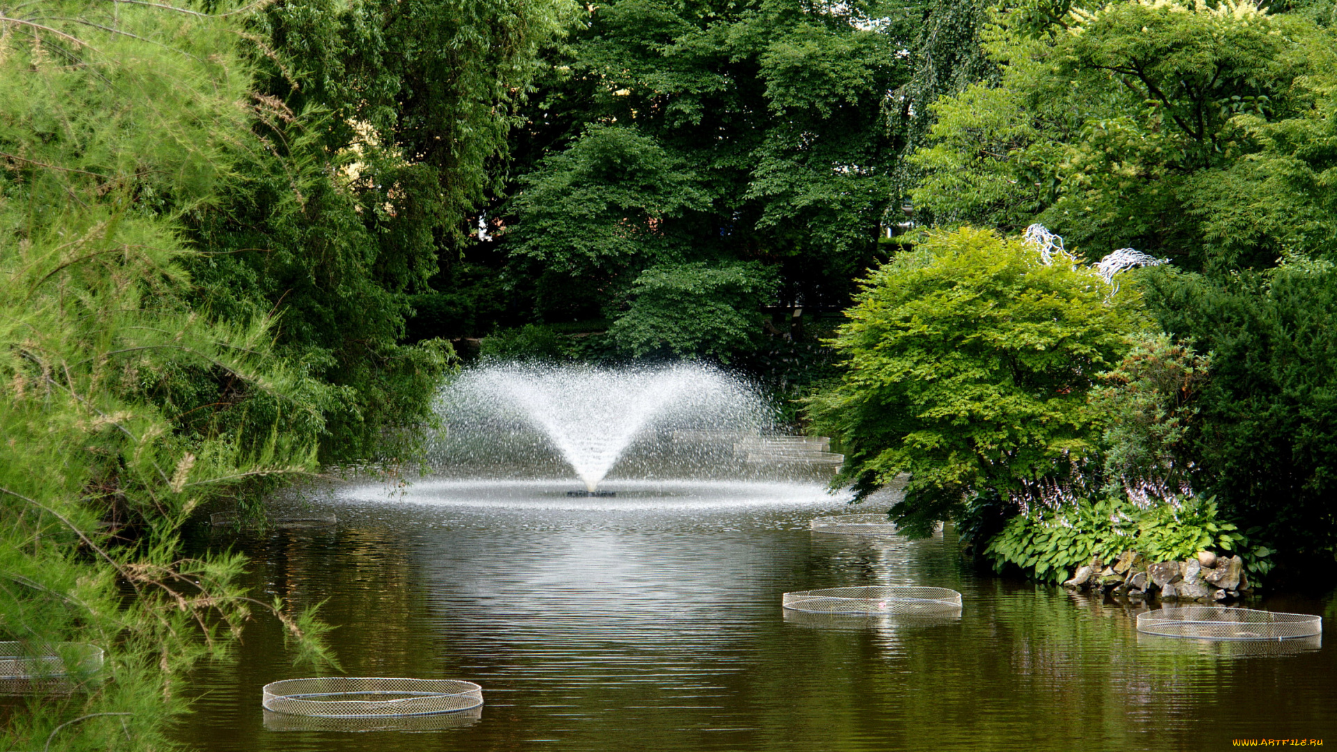 природа, парк, фонтан, озеро