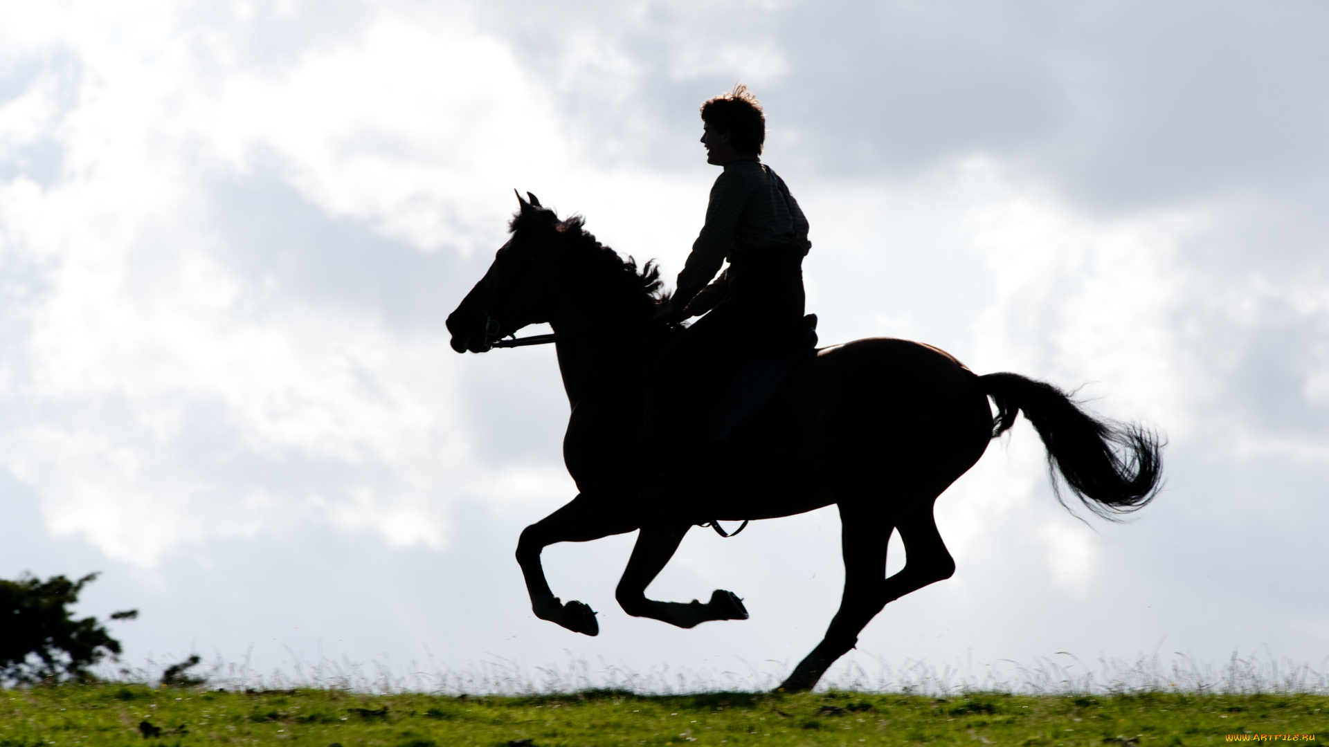 war, horse, кино, фильмы, боевой, конь