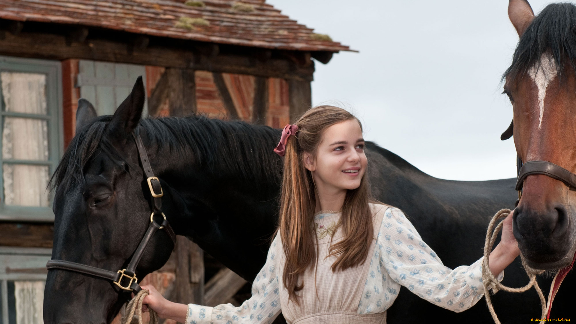 war, horse, кино, фильмы, боевой, конь