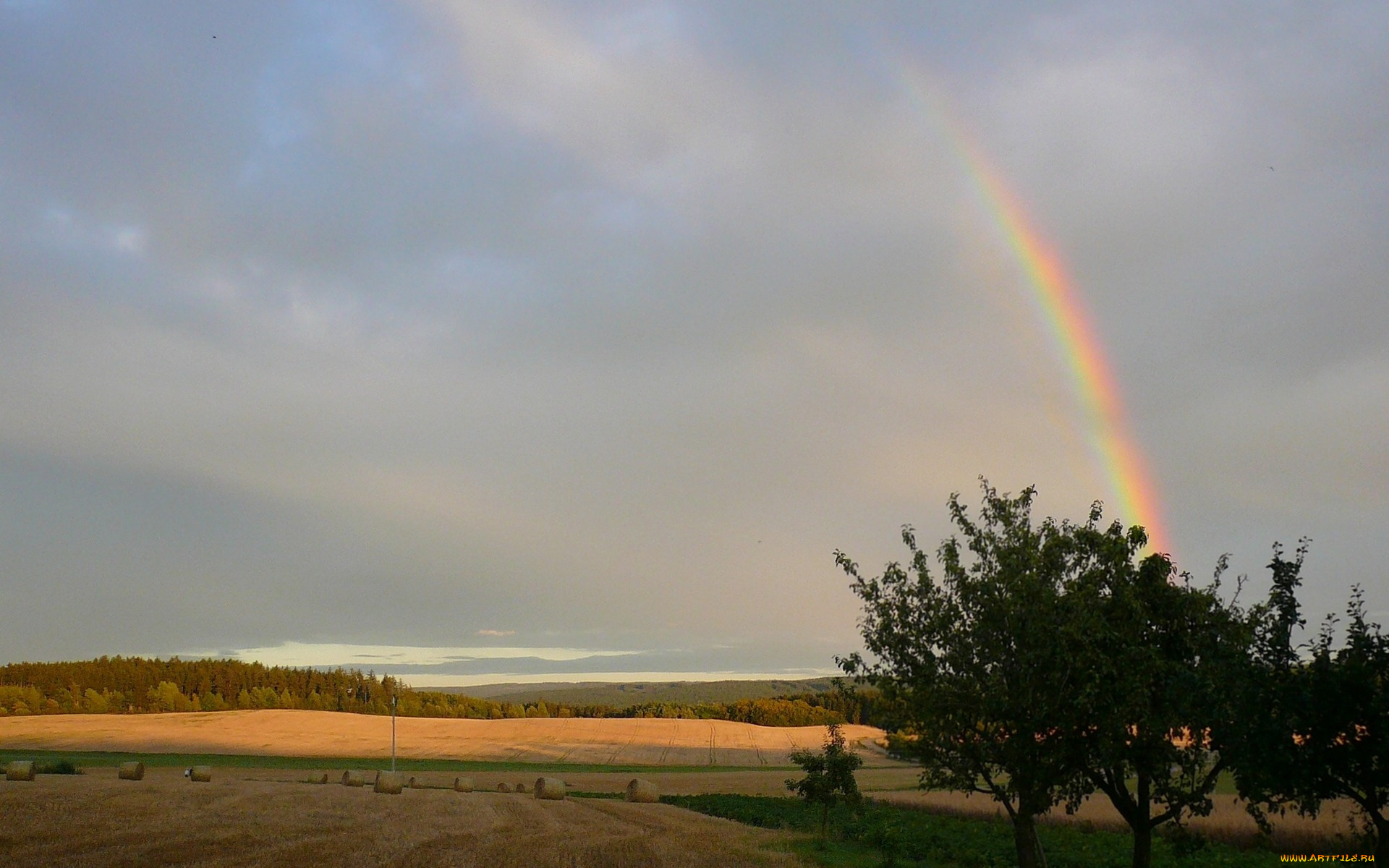 природа, радуга, поле, деревья