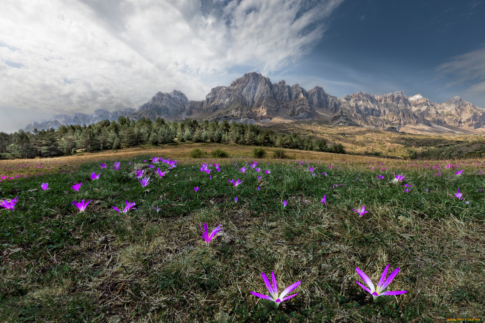 природа, луга, горы