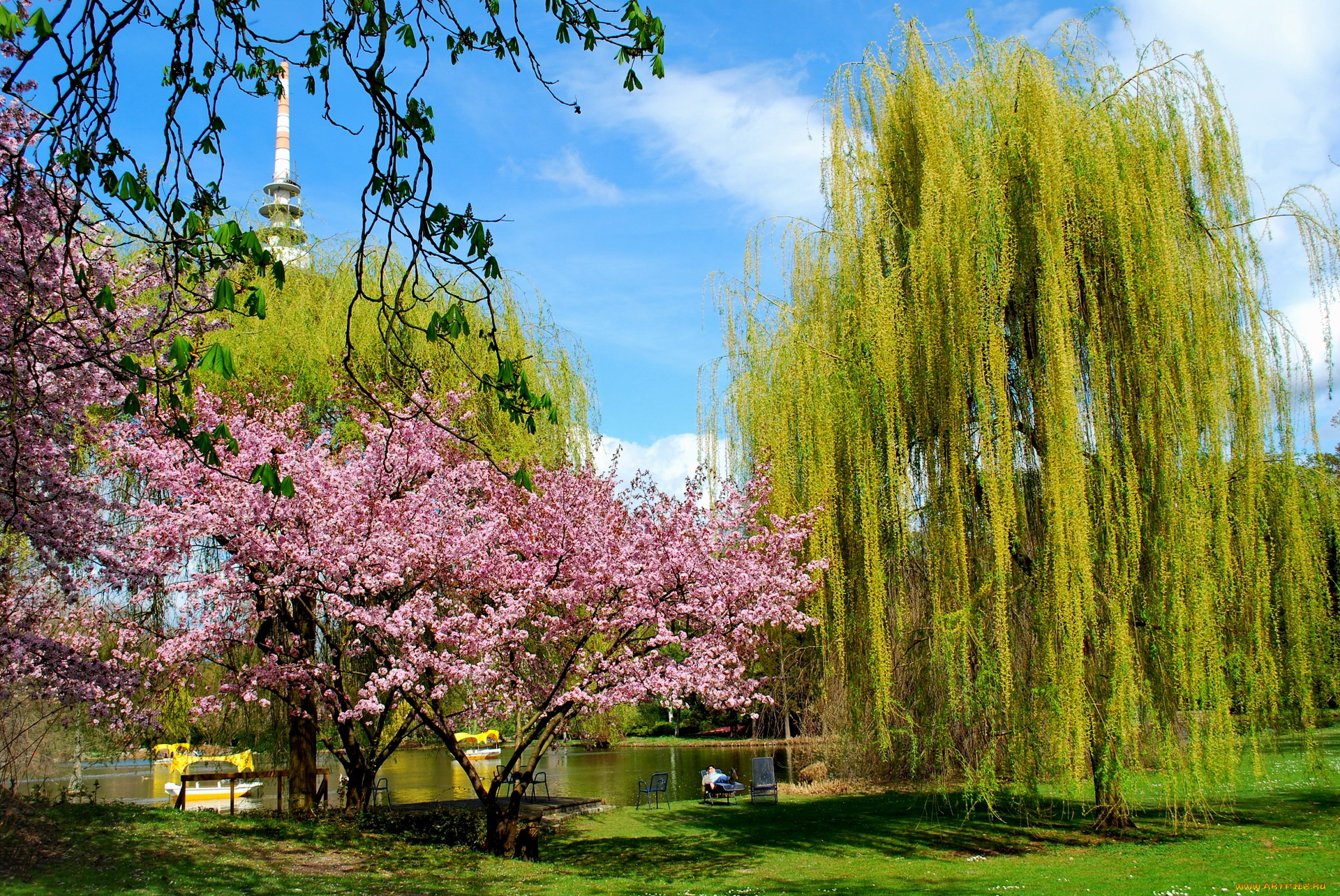 природа, парк, деревья, вышка, лодки, водоем