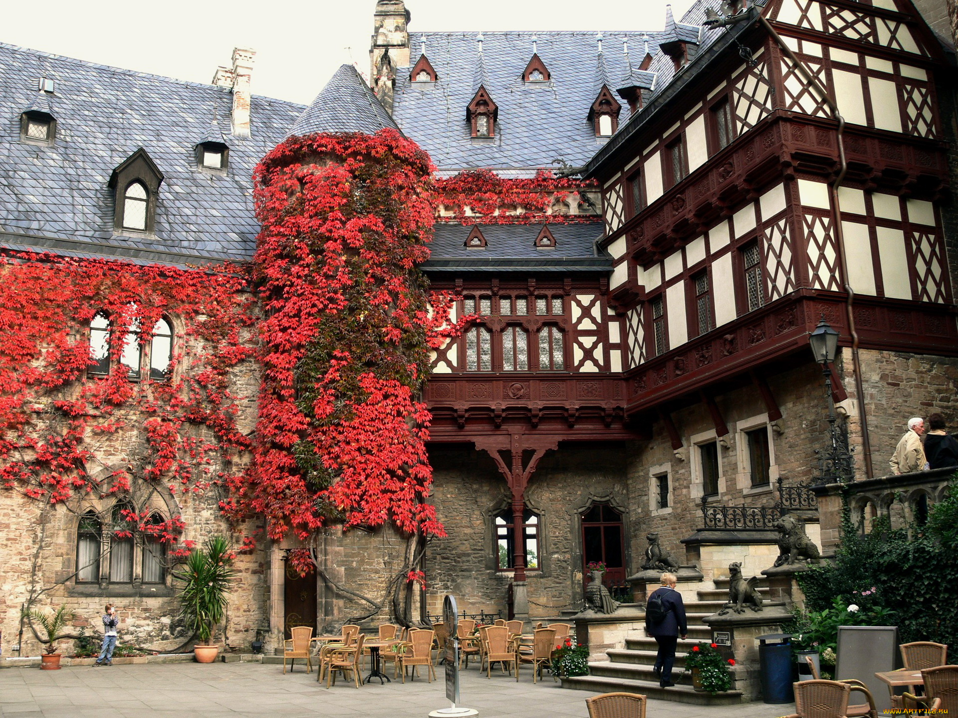 города, здания, дома, столики, здание, плющ, лестница