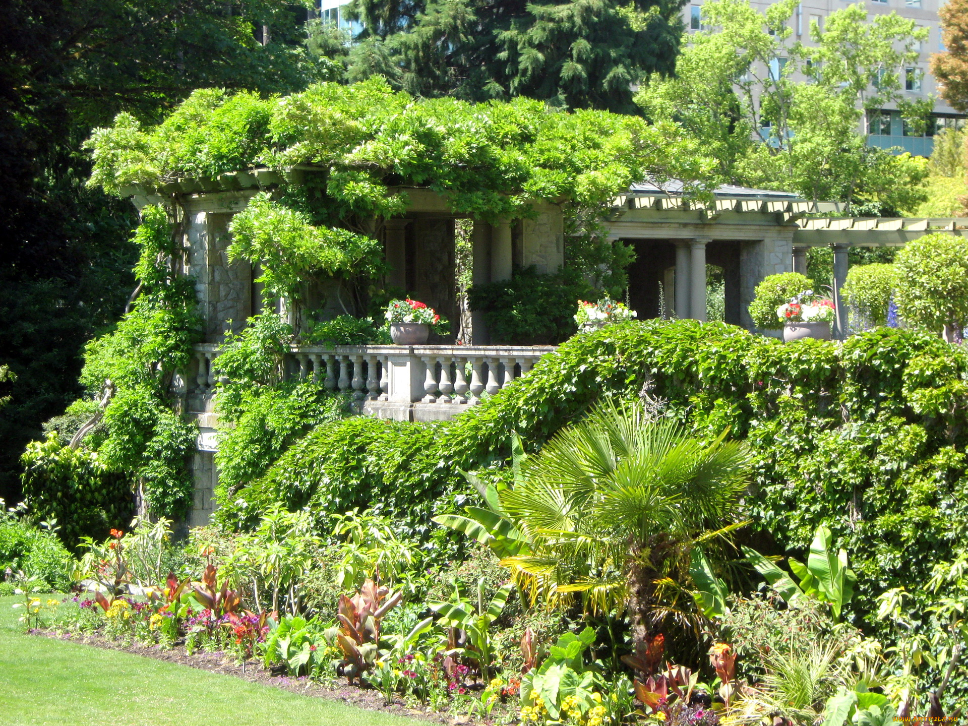 природа, парк, беседка, кусты, цветы