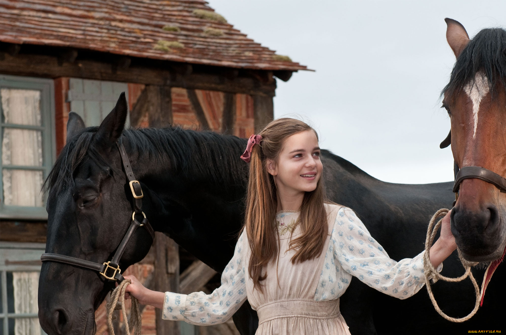 war, horse, кино, фильмы, боевой, конь