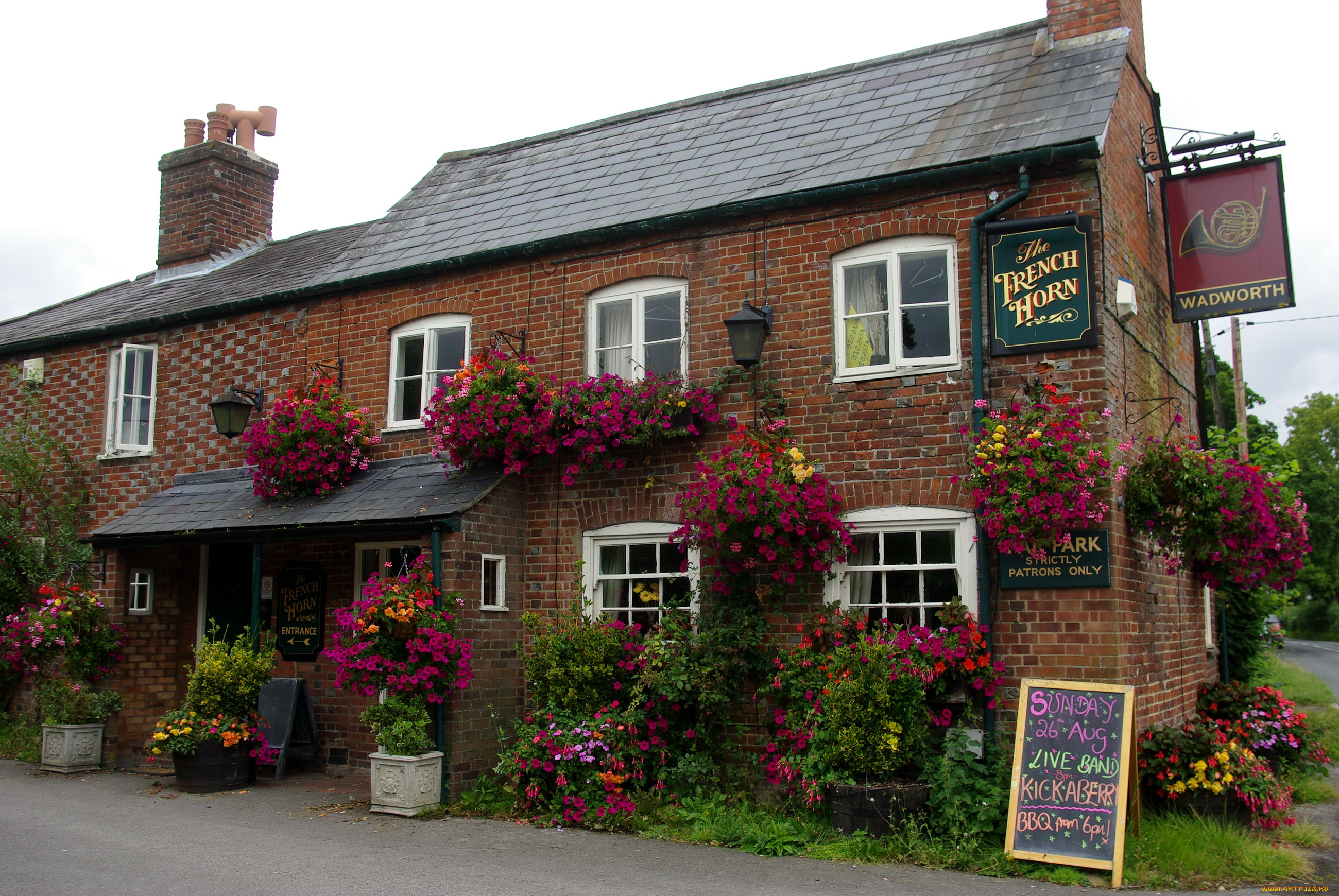 города, здания, дома, цветы, вывески, здание