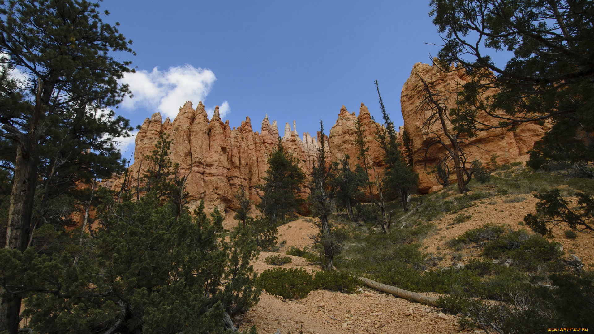 bryce, utah, us, природа, горы, парк