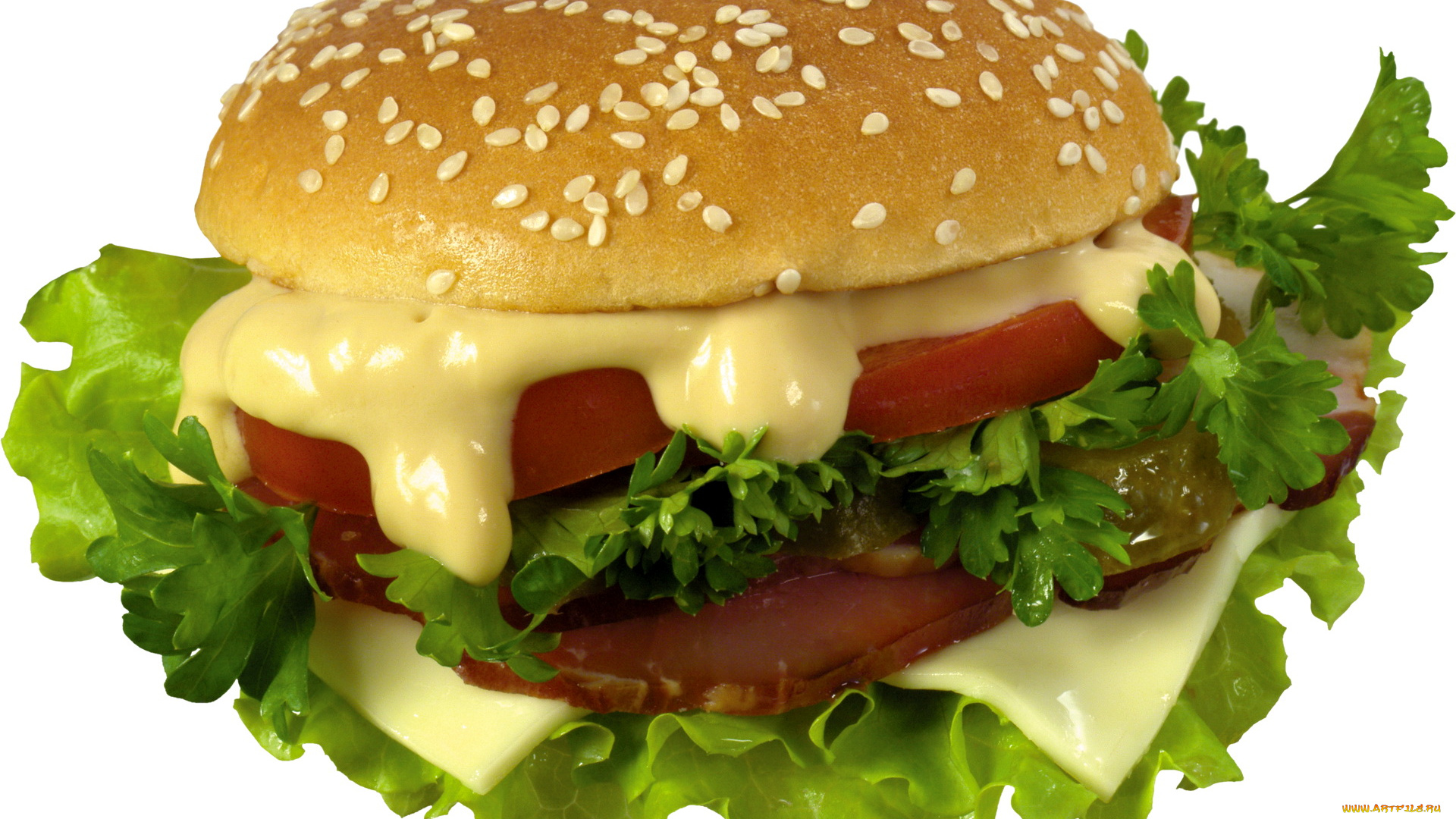 еда, бутерброды, гамбургеры, канапе, гамбургер