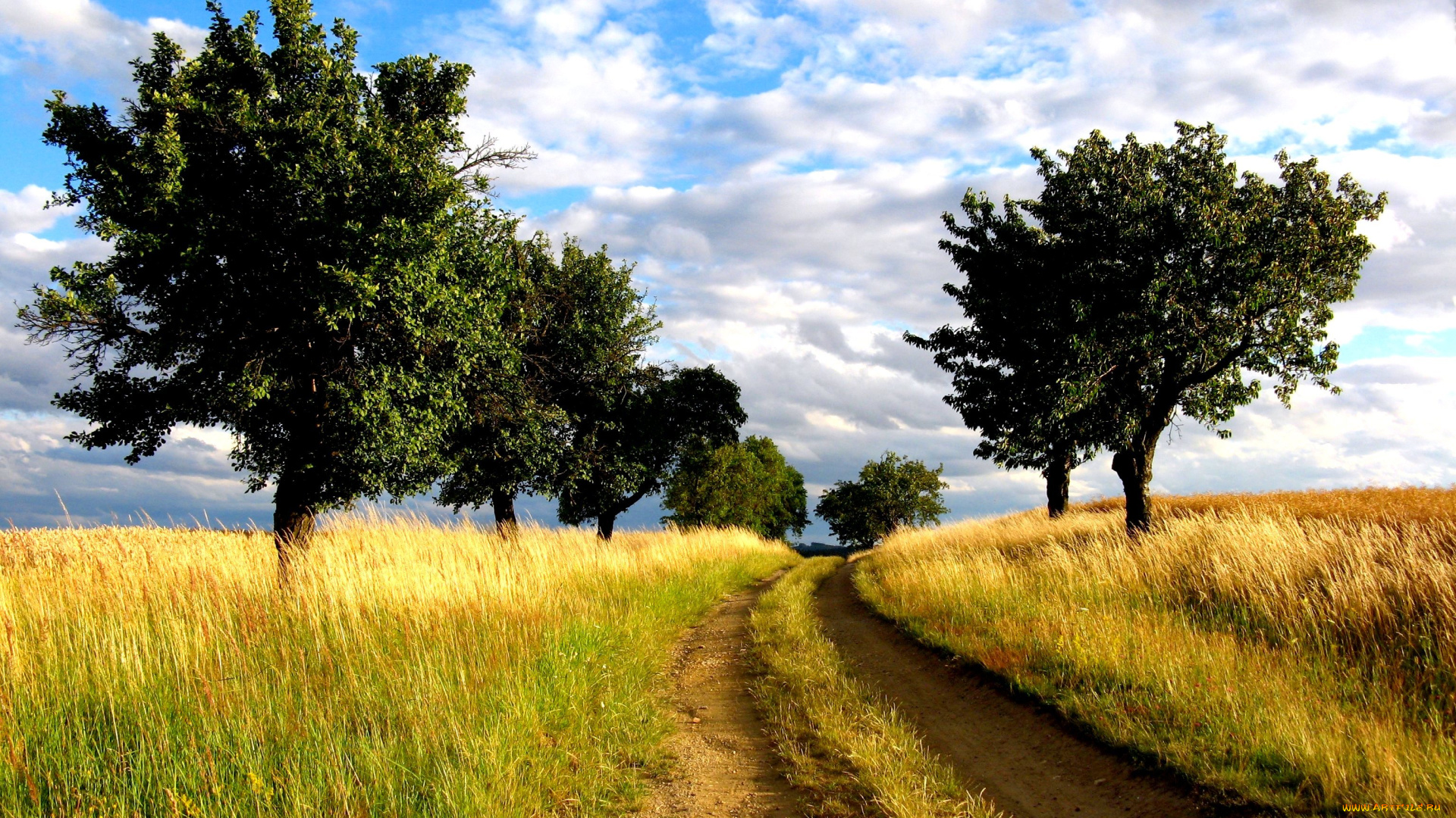 природа, дороги, дорога, поле, деревья