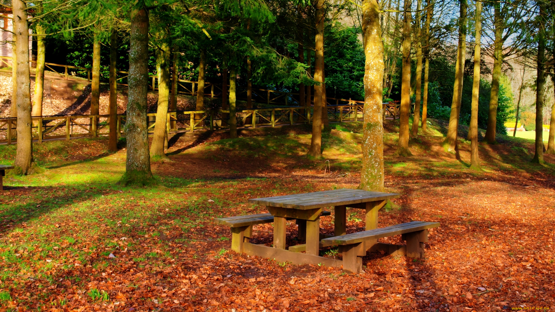 природа, парк, скамья