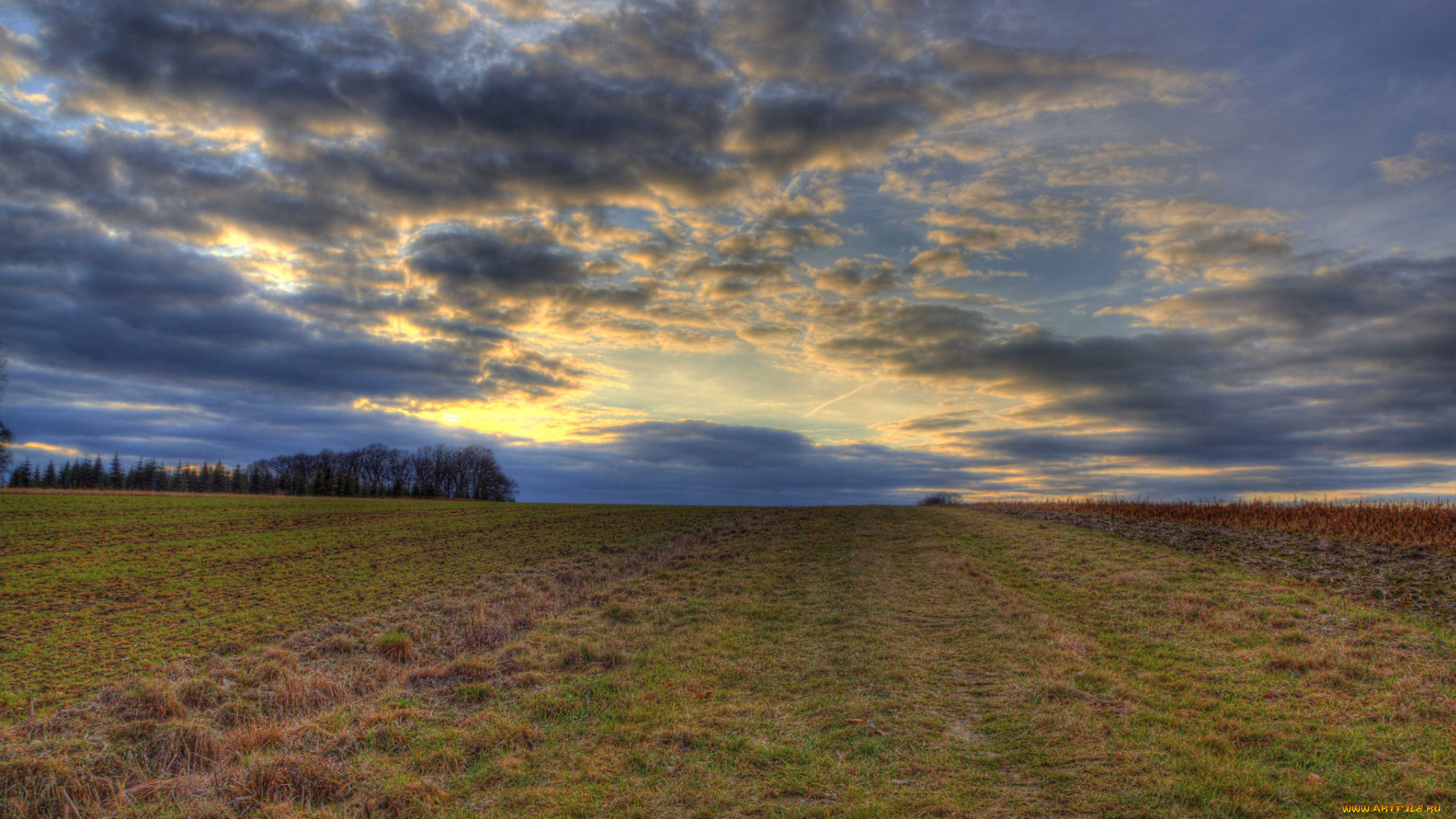 природа, поля, горизонт, поле, трава, тучи