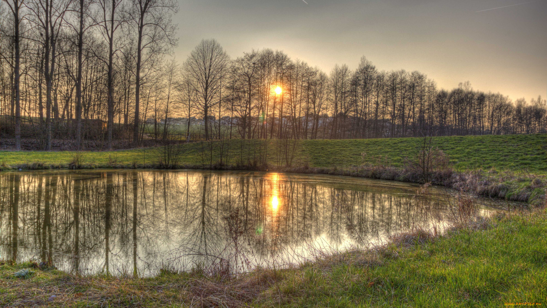 природа, реки, озера, лес, пруд, трава, солнце, поле