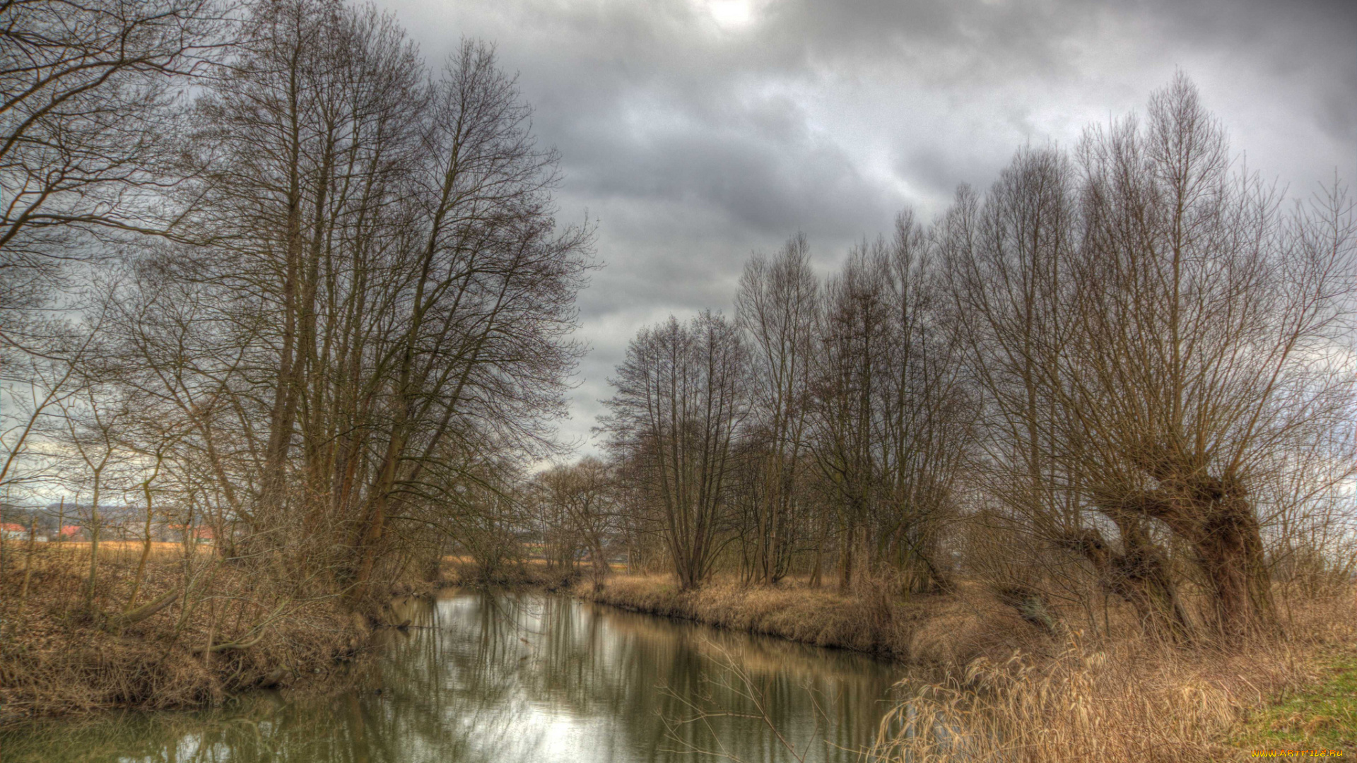 природа, реки, озера, река, трава, деревья, берег