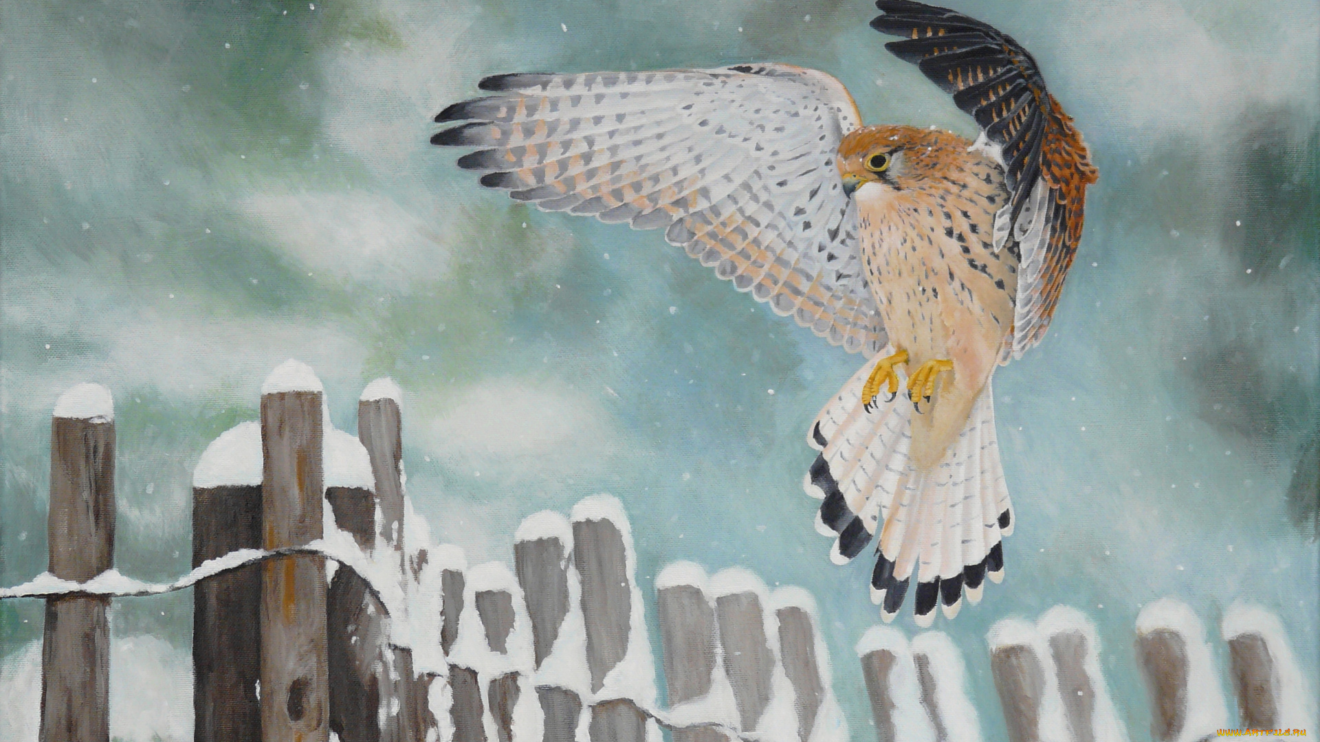 рисованные, животные, птицы, забор, птица, пустельга, снег
