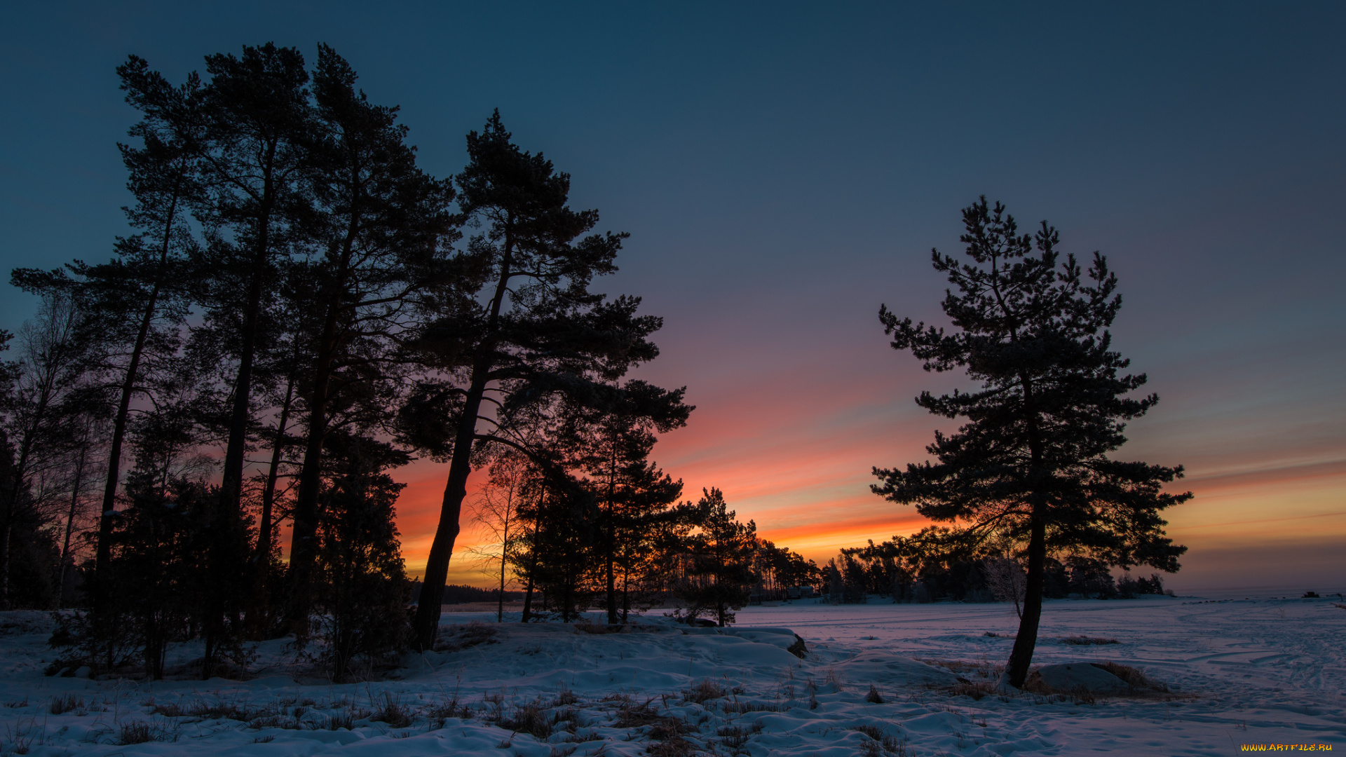 sweden, природа, деревья, швеция, закат, снег, зима