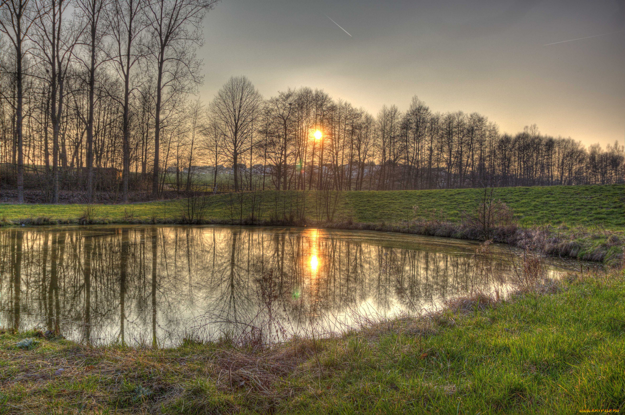 природа, реки, озера, лес, пруд, трава, солнце, поле