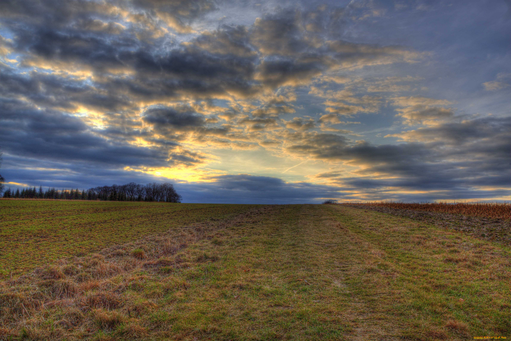 природа, поля, горизонт, поле, трава, тучи