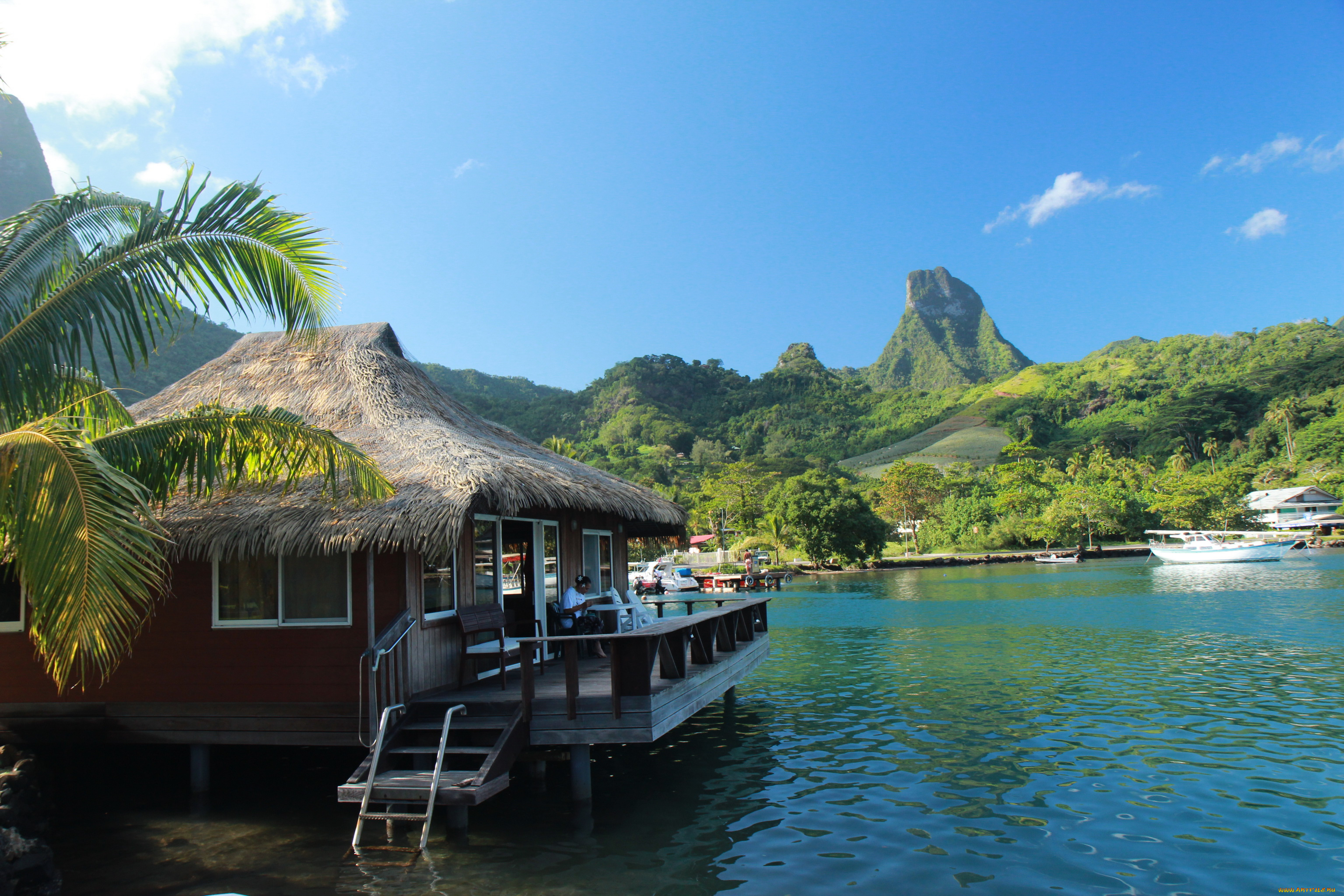 французская, полинезия, природа, тропики, река