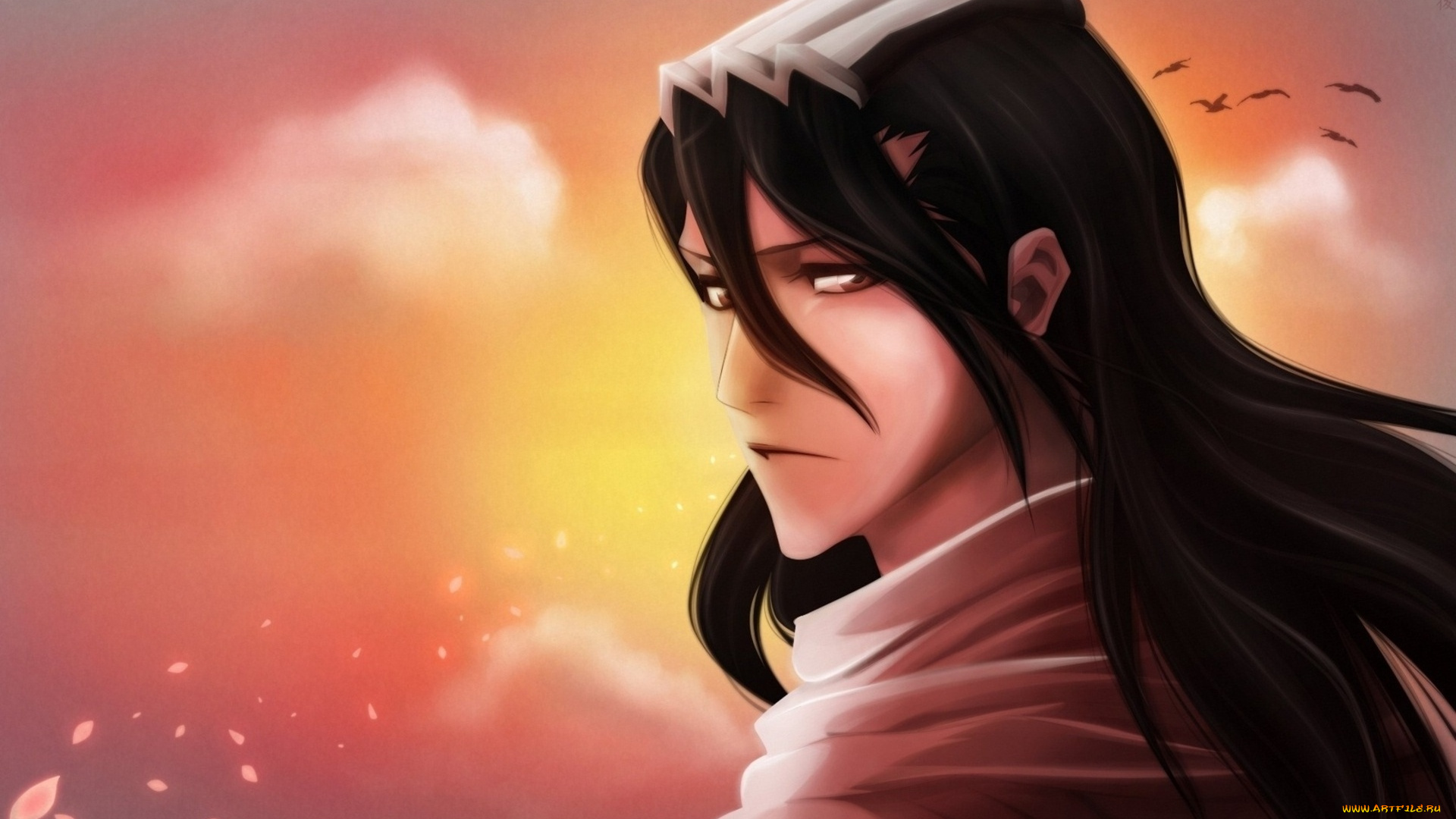 аниме, bleach, блич, бьякуя, арт, парень, закат, небо, лепестки, взгляд, кучики, брюнет, птицы