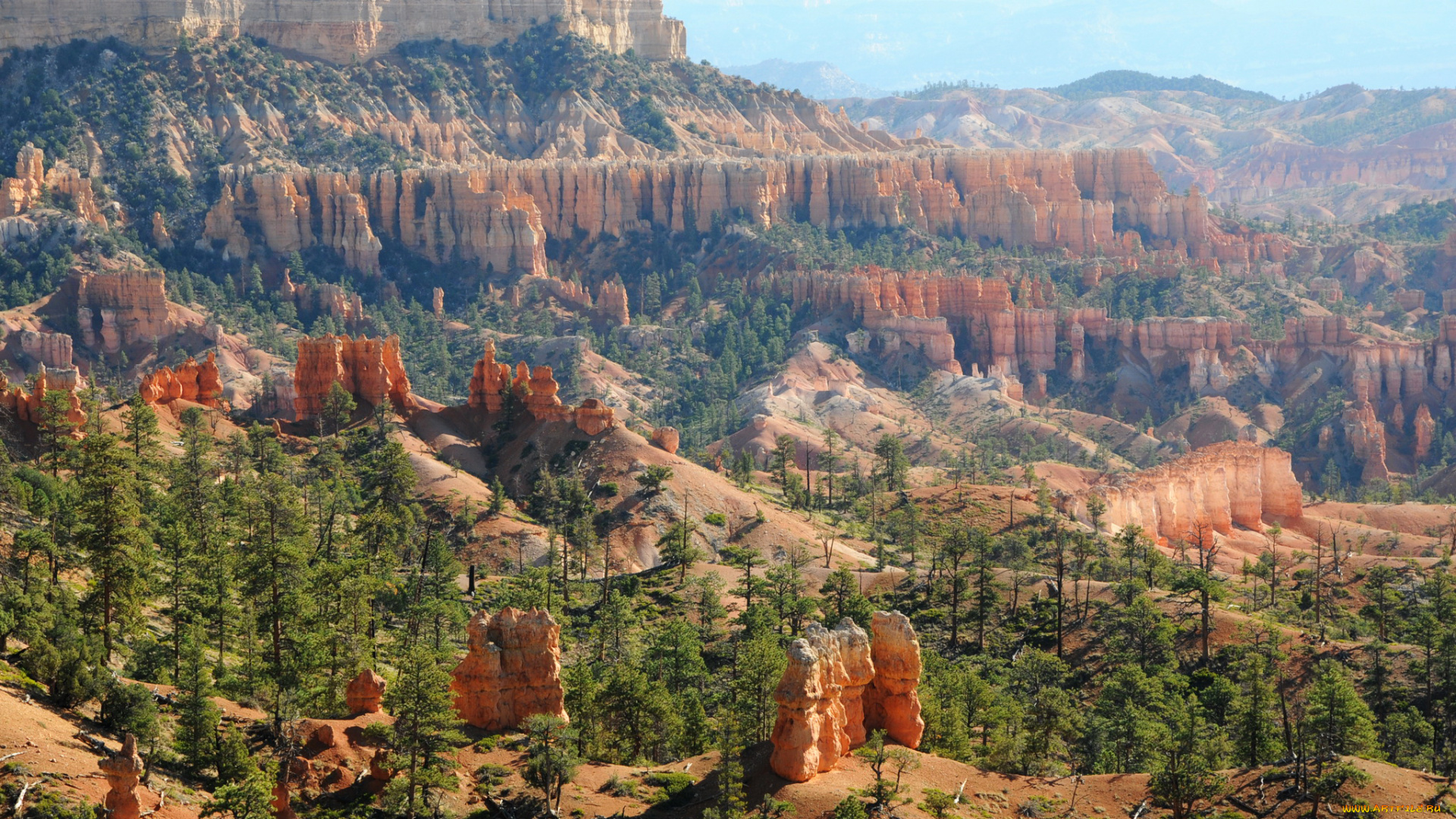 bryce, canyon, national, park, , utah, природа, горы, bryce, canyon, парк, ели, park, utah