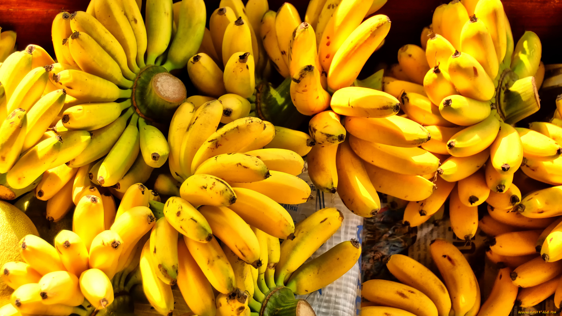 еда, бананы, гроздья