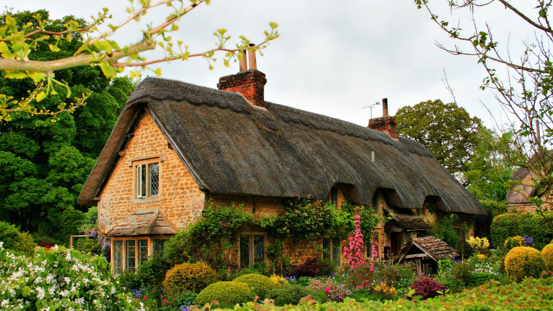 города, -, здания, , дома, кусты, цветы, ландшафт, дом, англия, sandy, lane