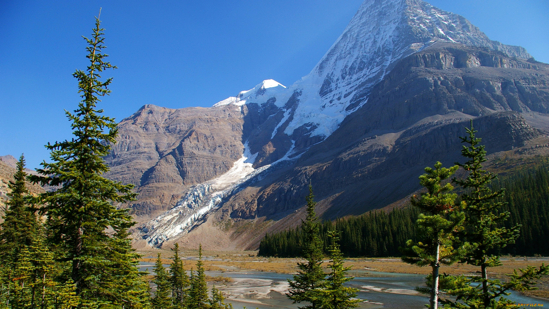 mount, robson, provincial, park, , british, columbia, , canada, природа, горы, снег, ели, вода, канада