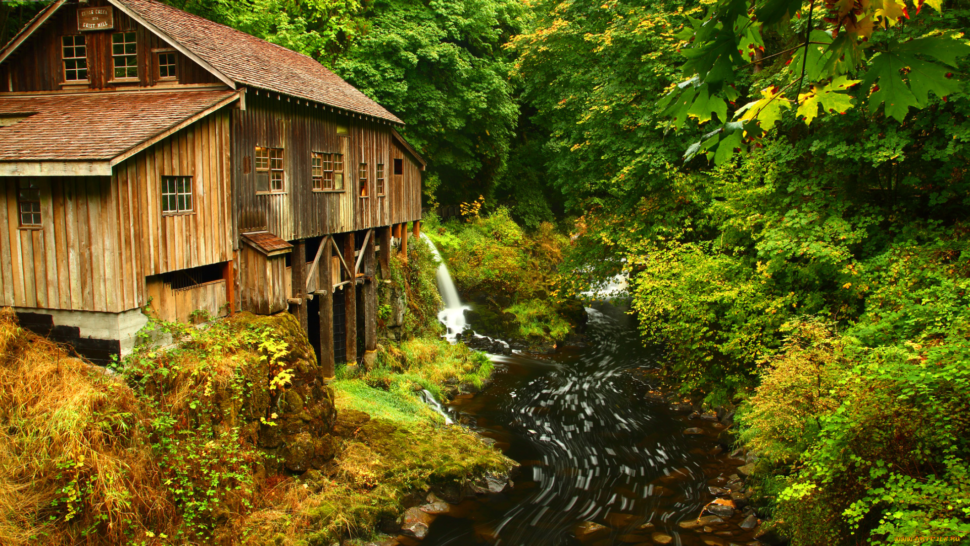 mt, rainier, national, park, washington, природа, лес, избушка, парк, ручей