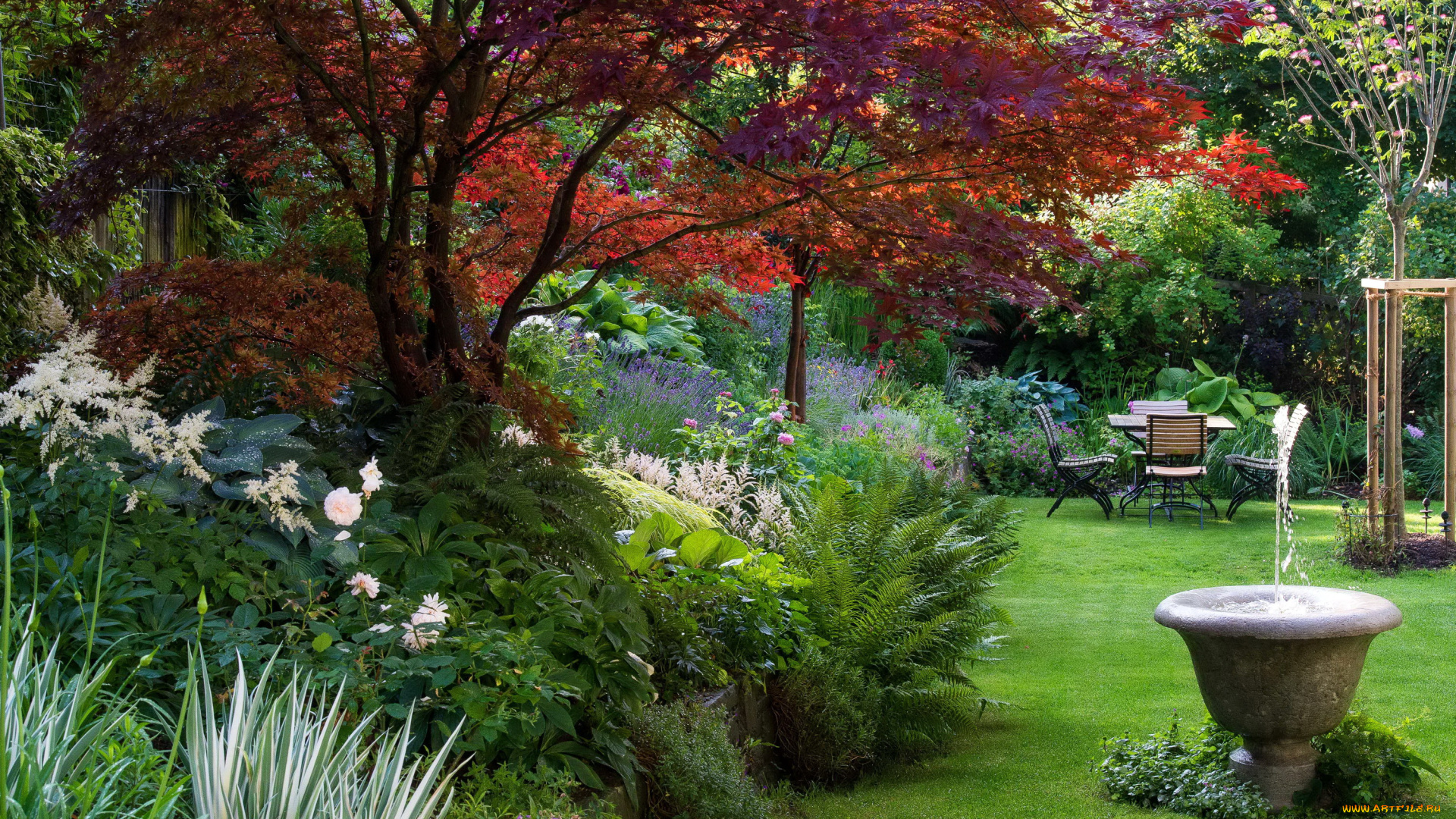 природа, парк, кусты, деревья, фонтан