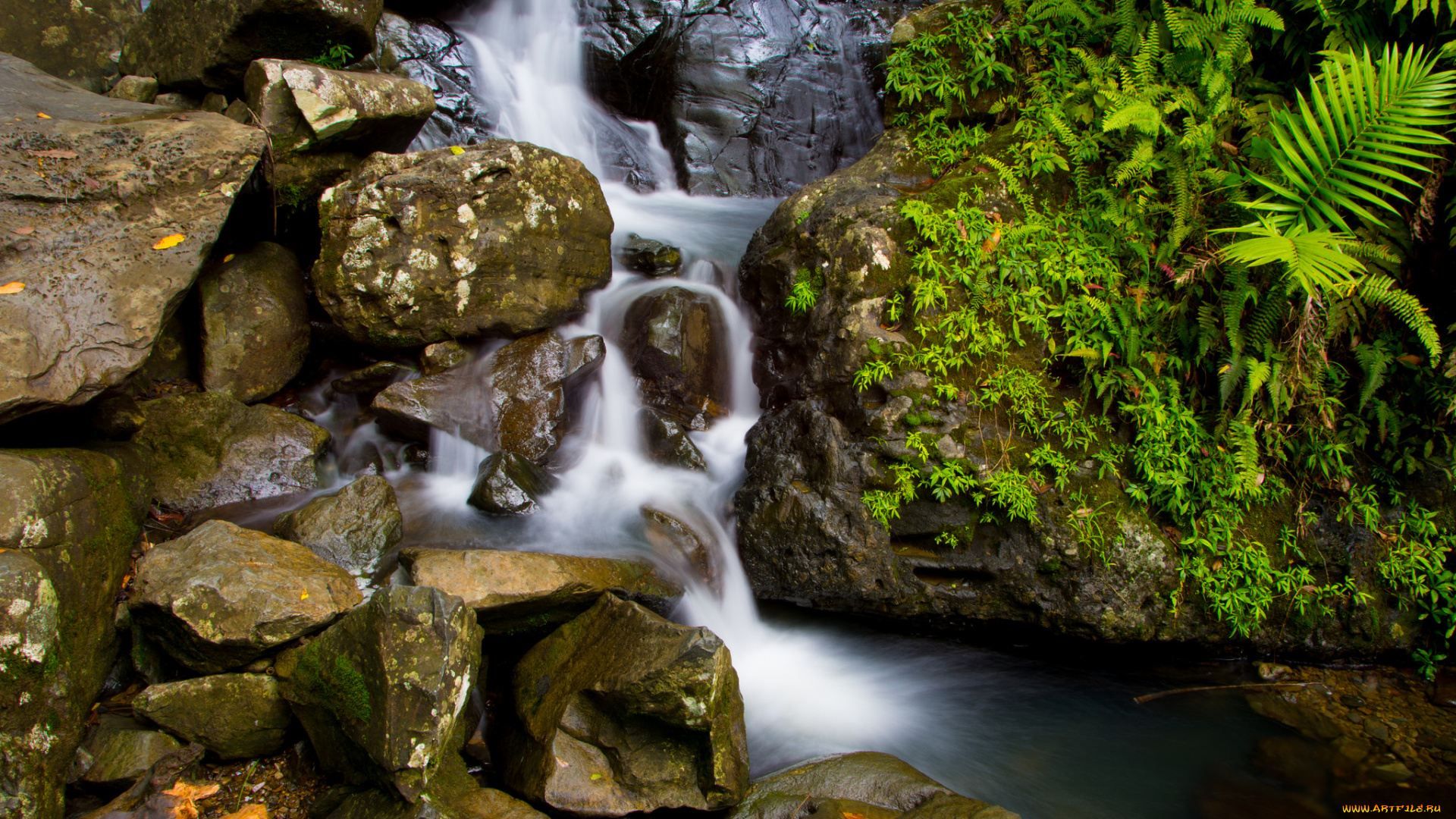 природа, реки, озера, вода, камни, папоротник