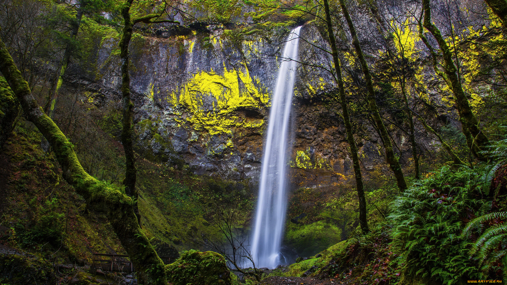 sharm, el, sheikh, египет, природа, водопады, парк, водопад, египет