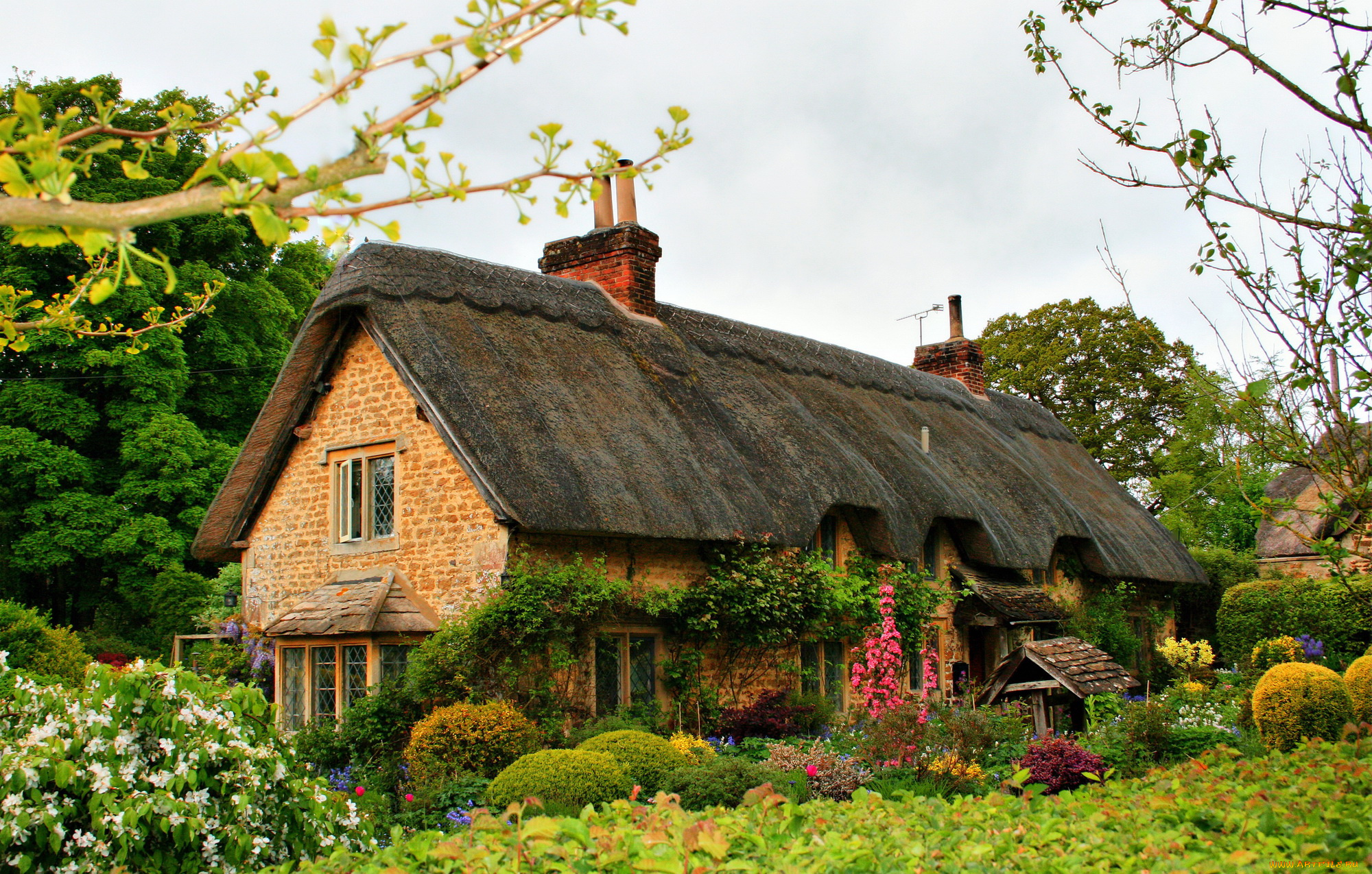 города, -, здания, , дома, кусты, цветы, ландшафт, дом, англия, sandy, lane