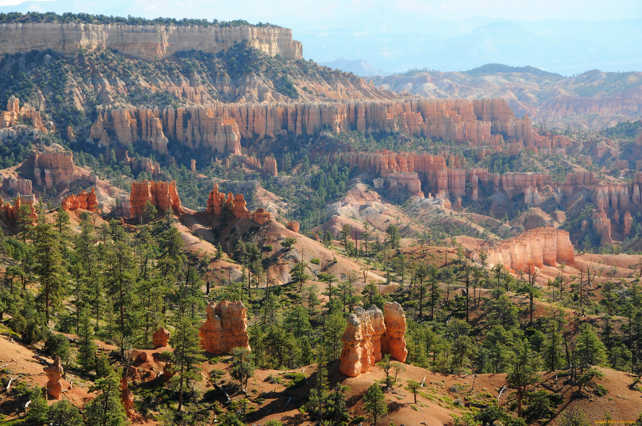 bryce, canyon, national, park, , utah, природа, горы, bryce, canyon, парк, ели, park, utah