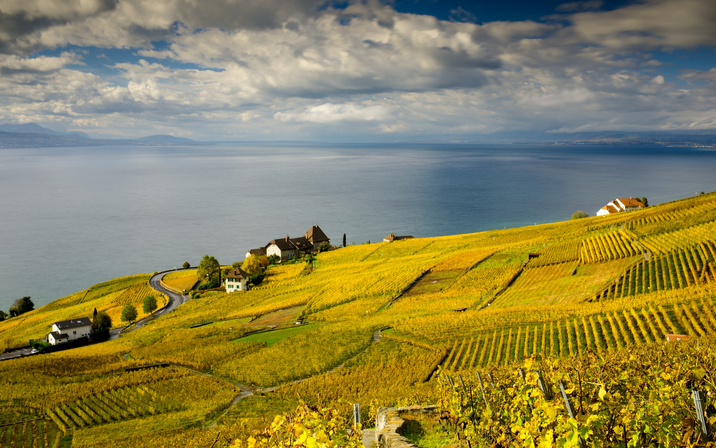 природа, поля, горизонт