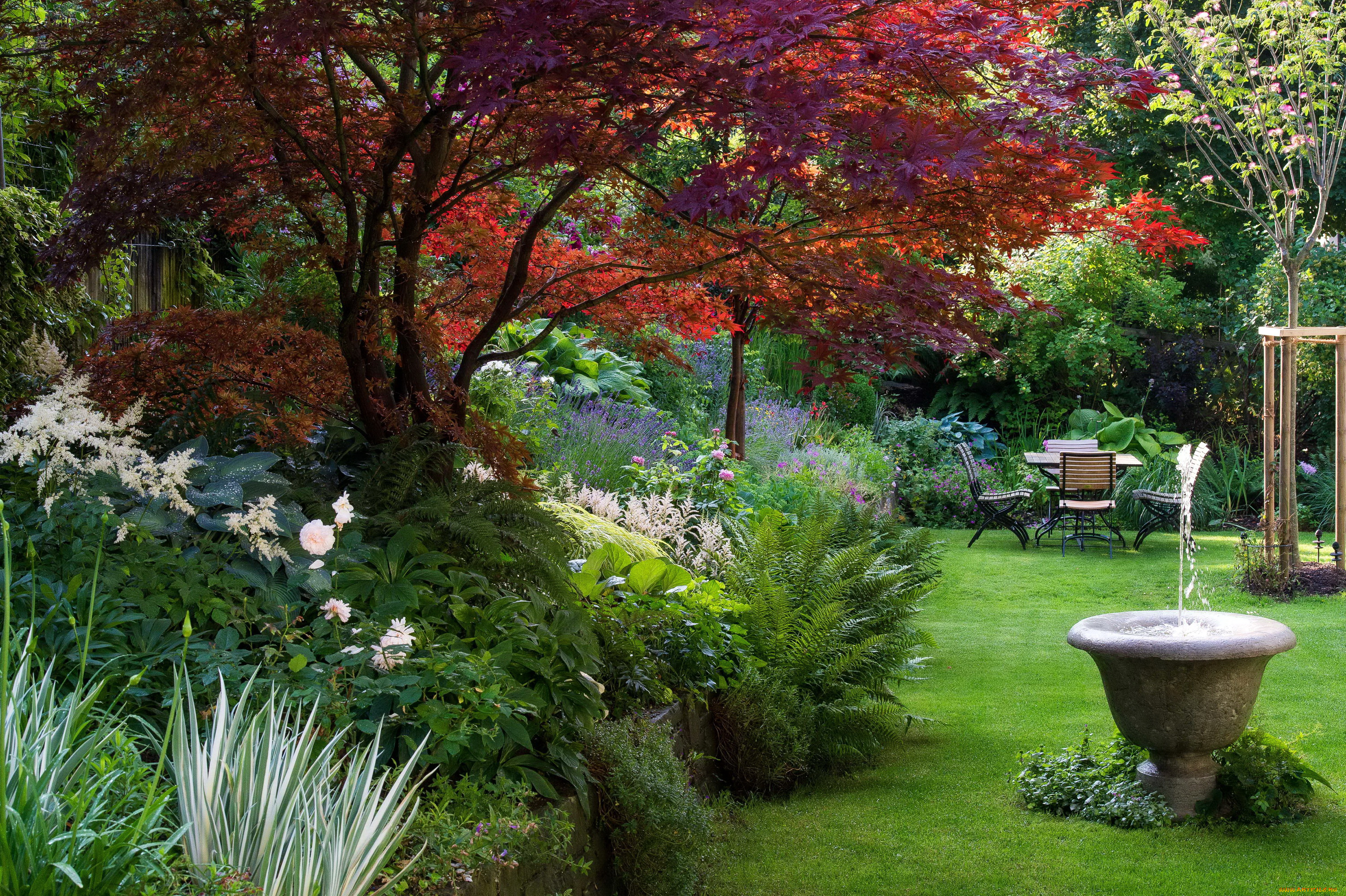 природа, парк, кусты, деревья, фонтан