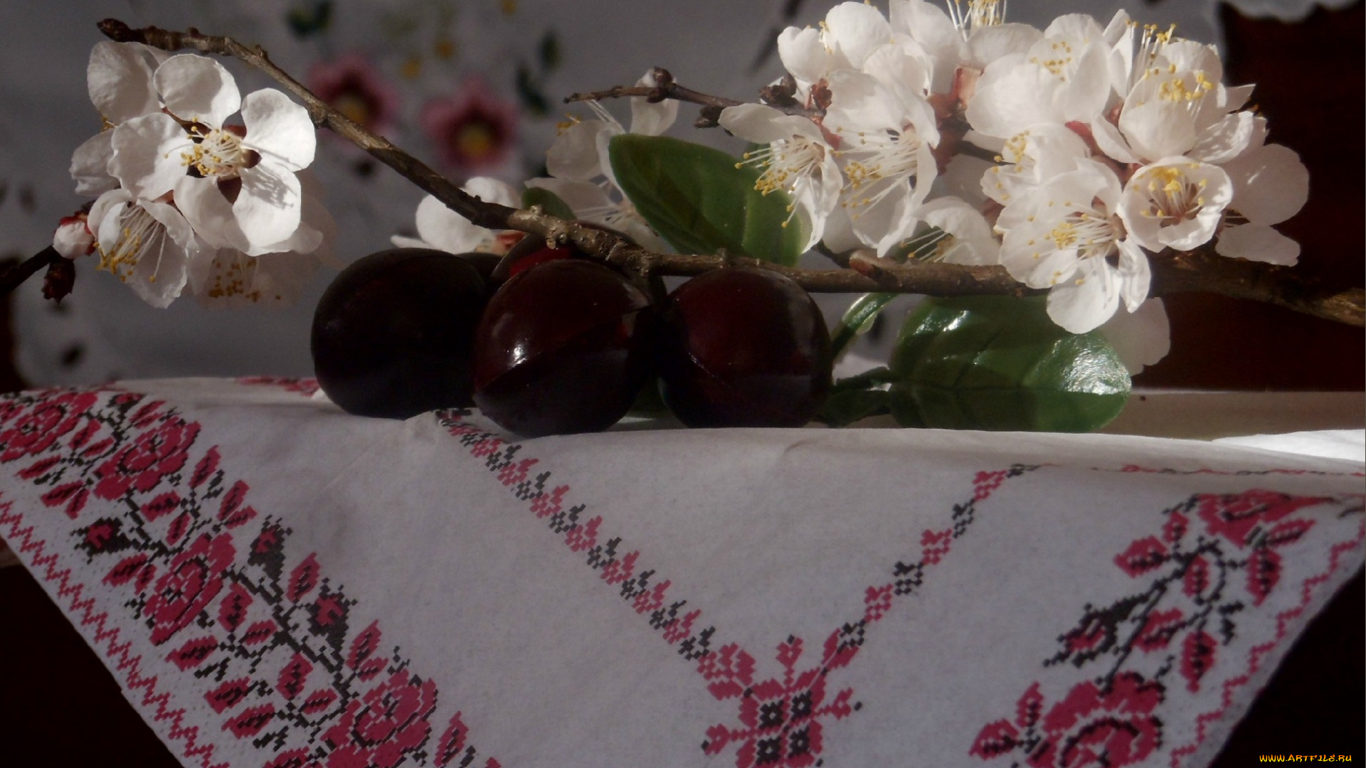 цветы, цветущие, деревья, , , кустарники, яблоня, полотенце