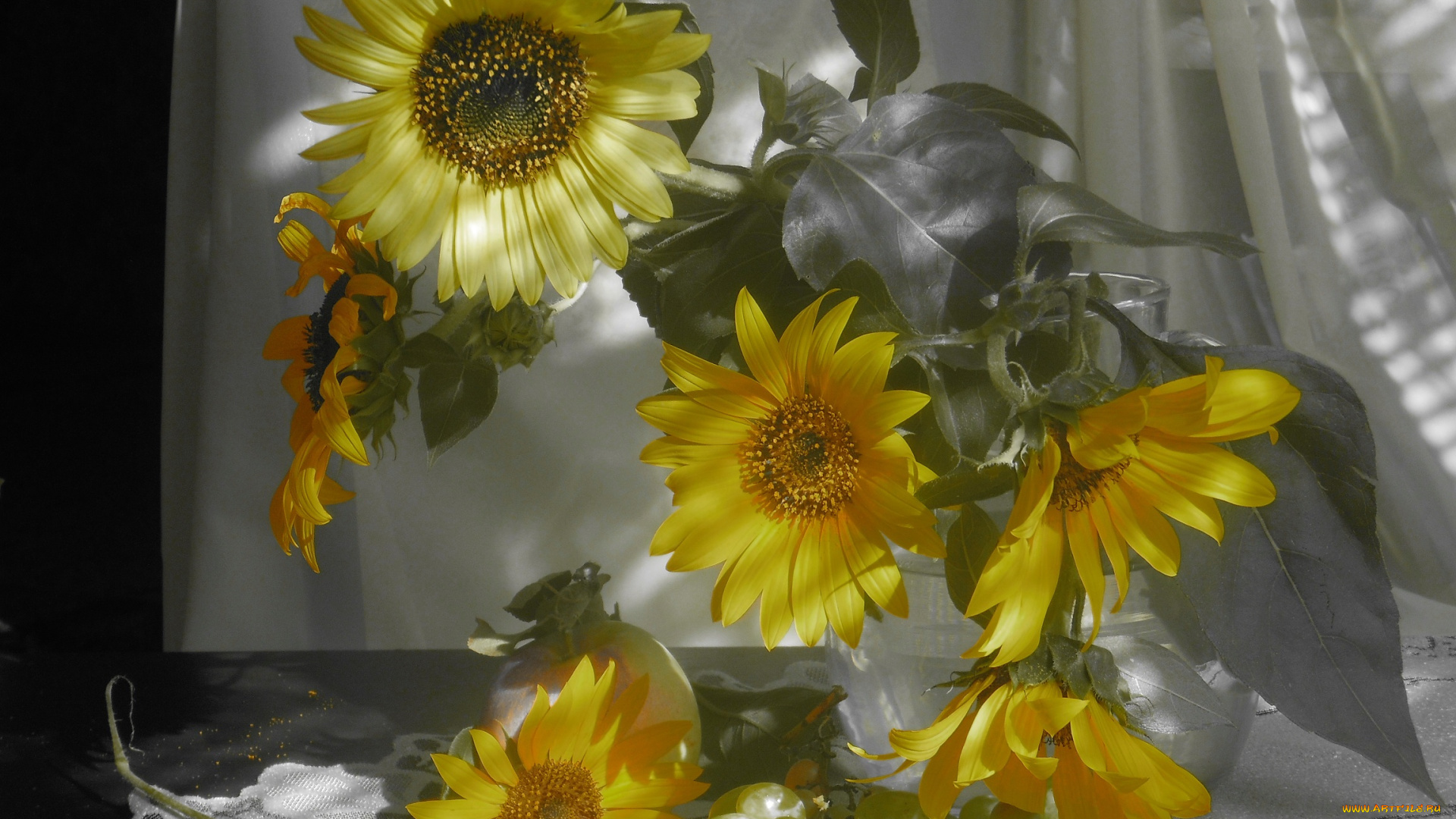 цветы, подсолнухи, листья, букет