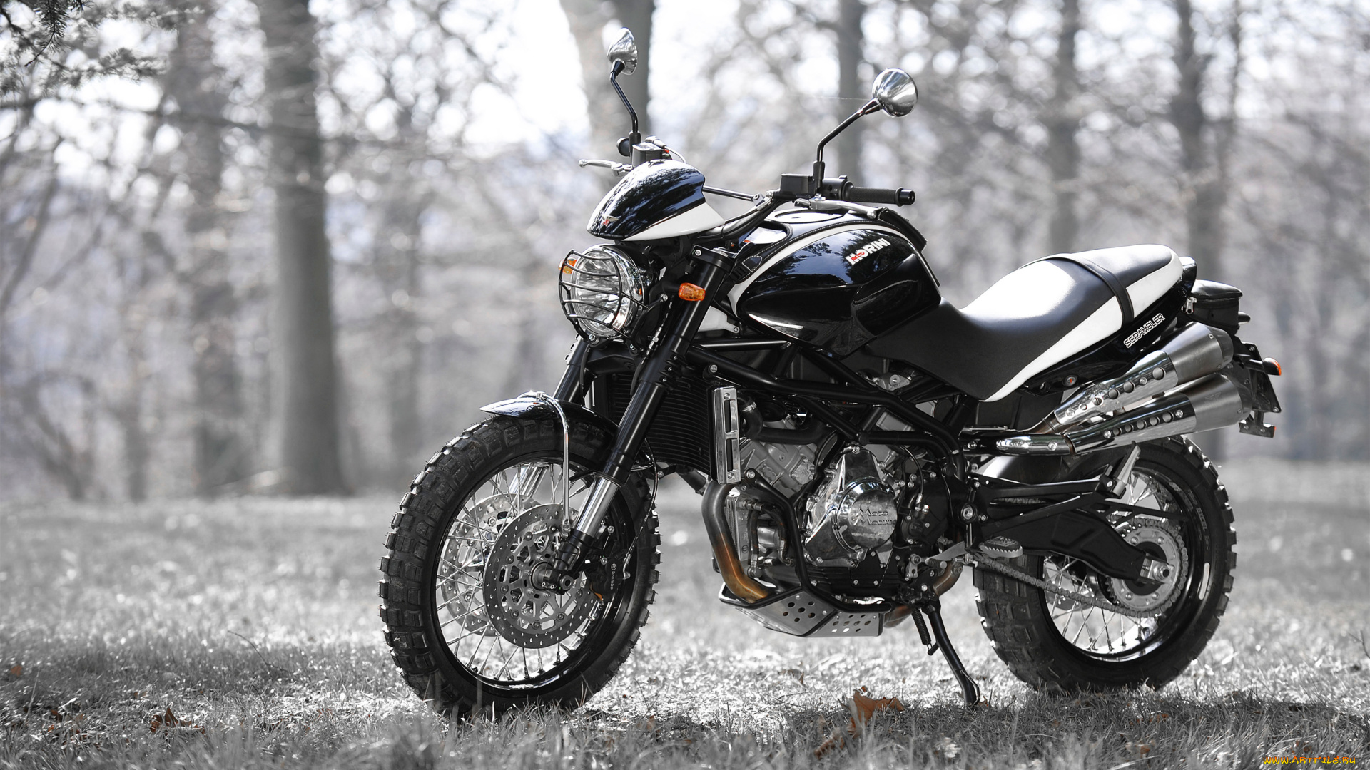 мотоциклы, -unsort, moto, morini