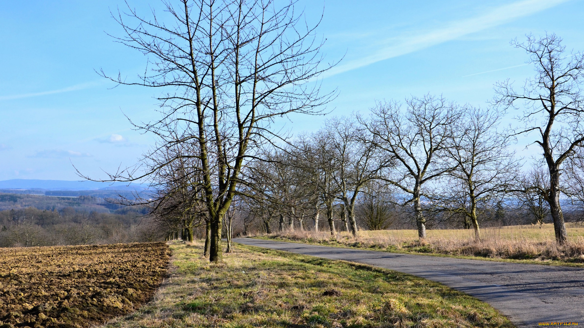 природа, дороги, деревья, дорога