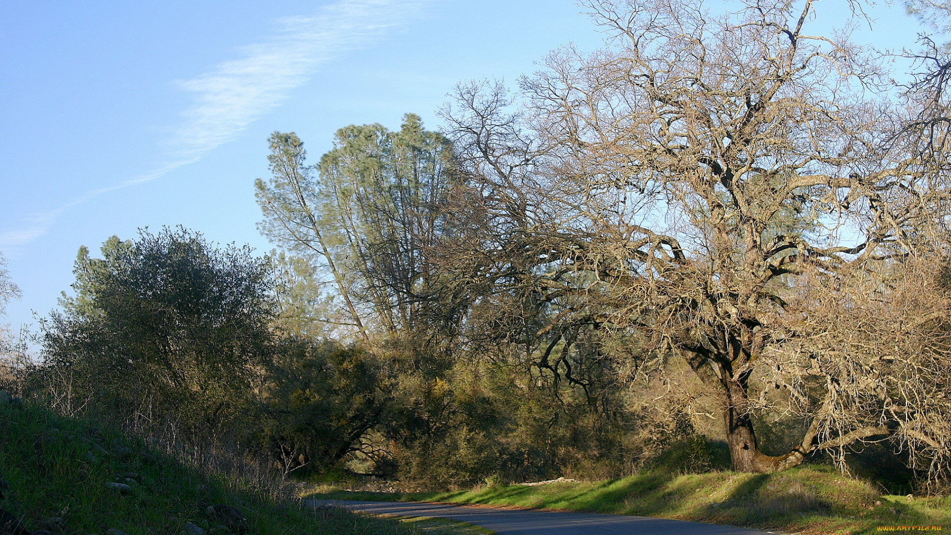 природа, дороги, дорога