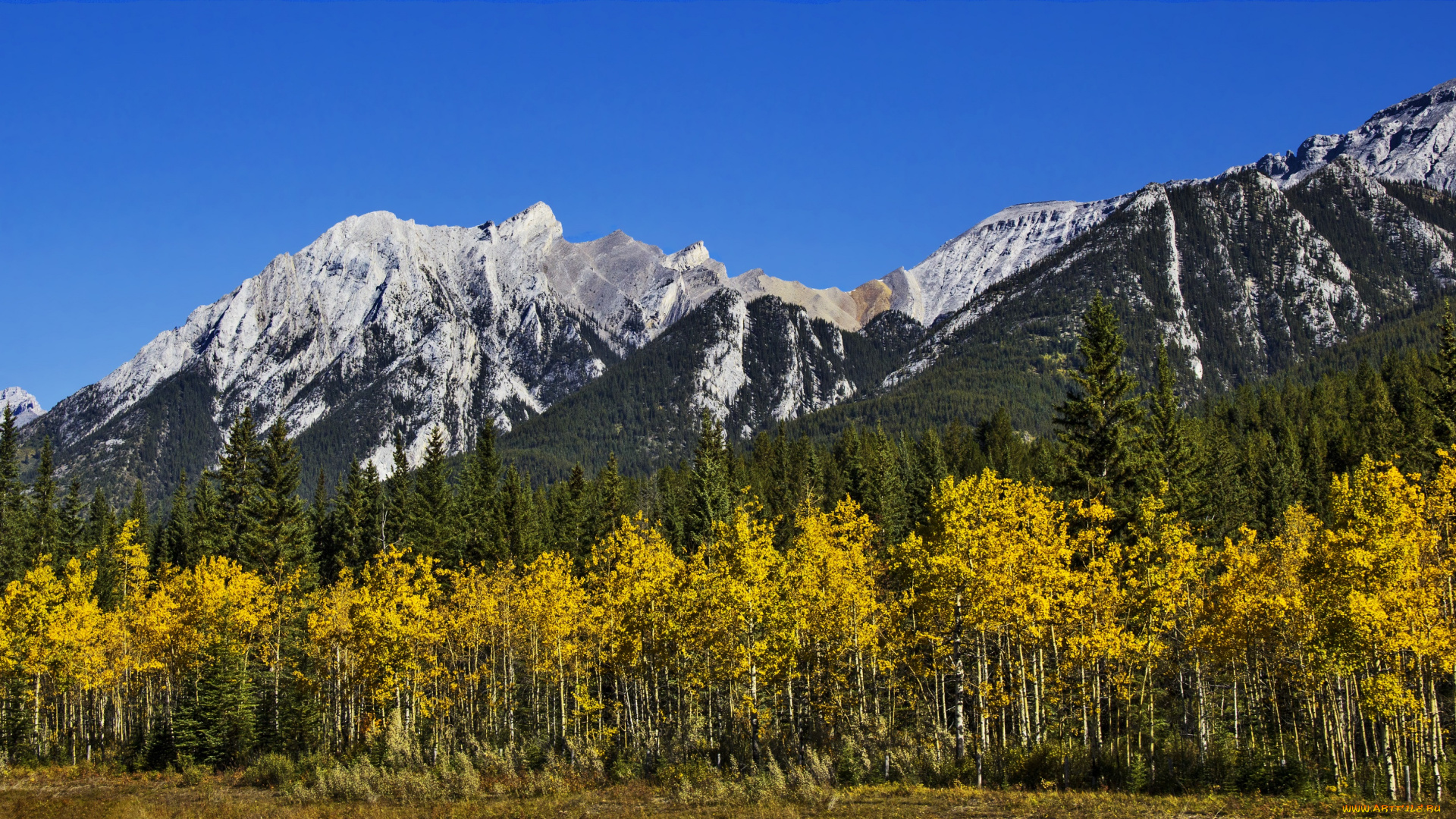 природа, горы, небо, осень, ели, берёзы