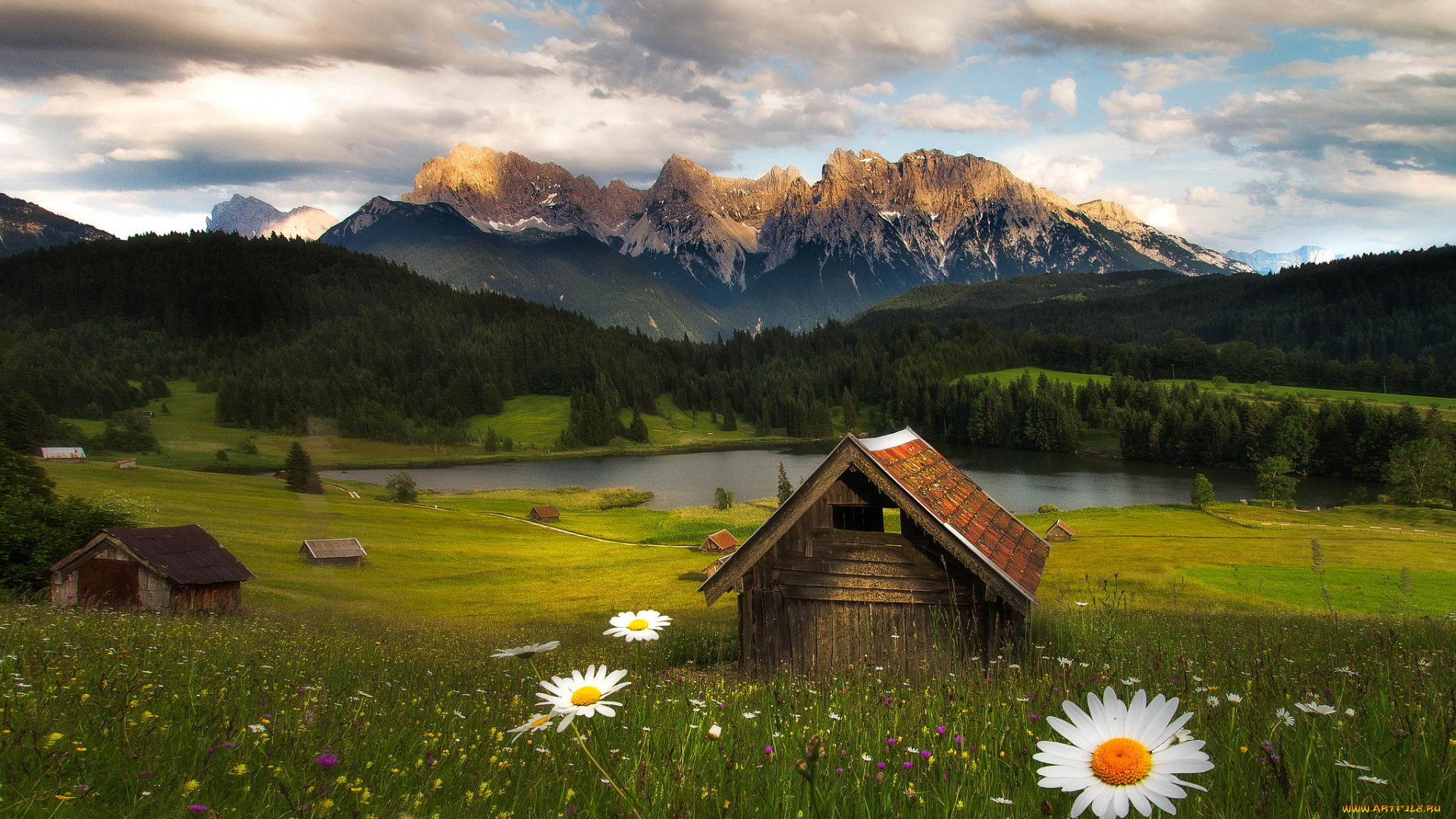 природа, пейзажи, лес, хижина, цветы, fabian, vogl, горы