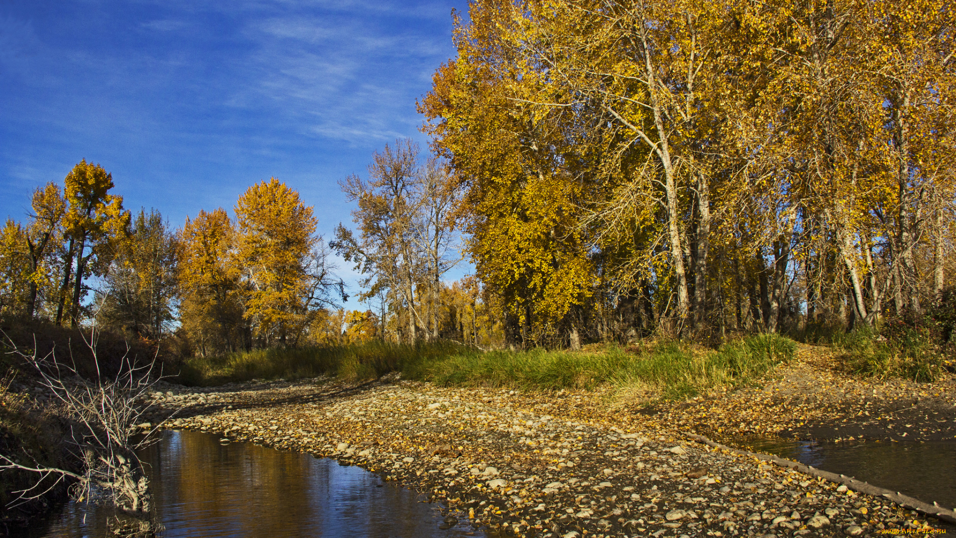 природа, реки, озера, лес, осень, деревья