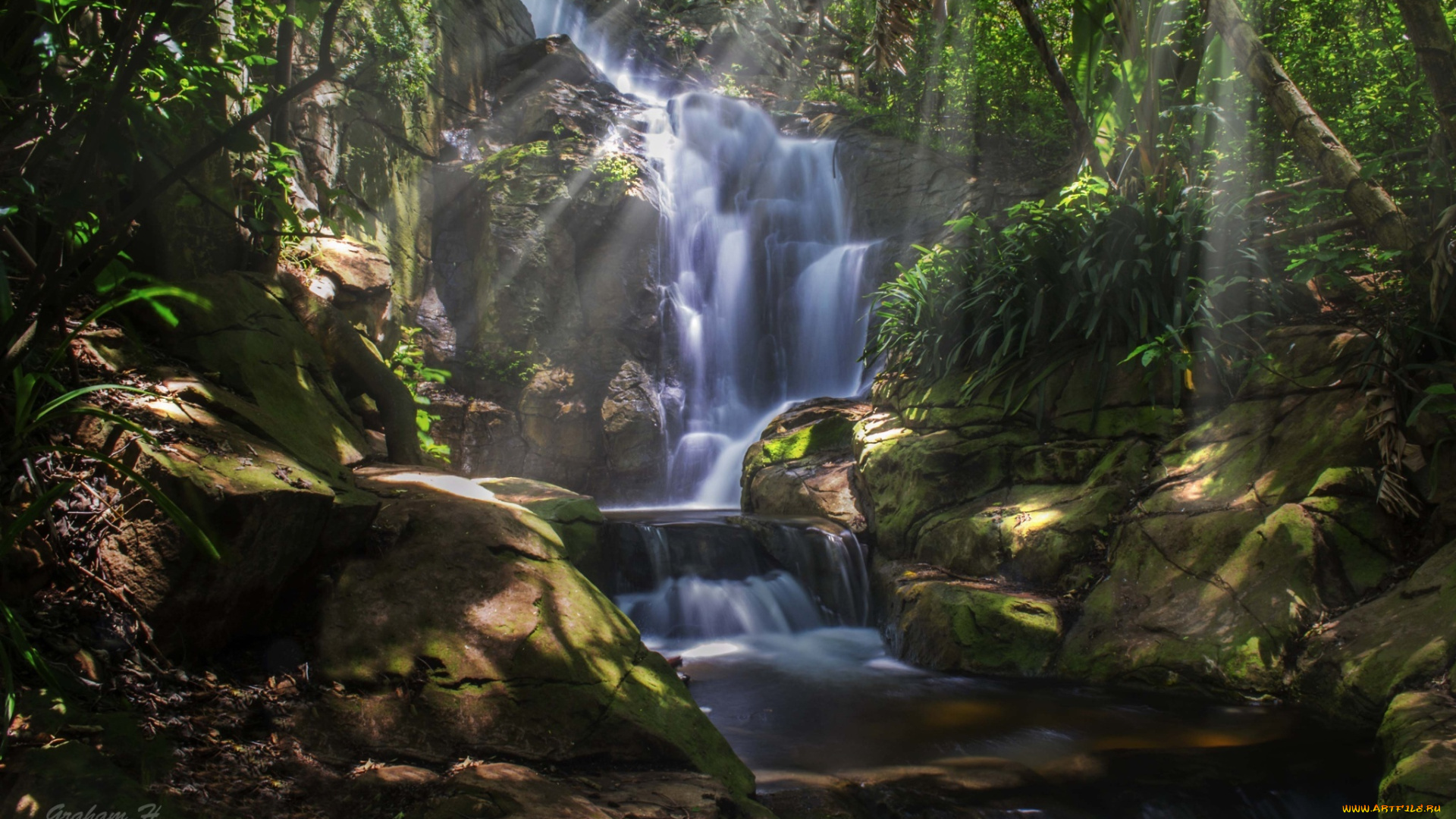 природа, водопады, джунгли, деревья, лес, водопад