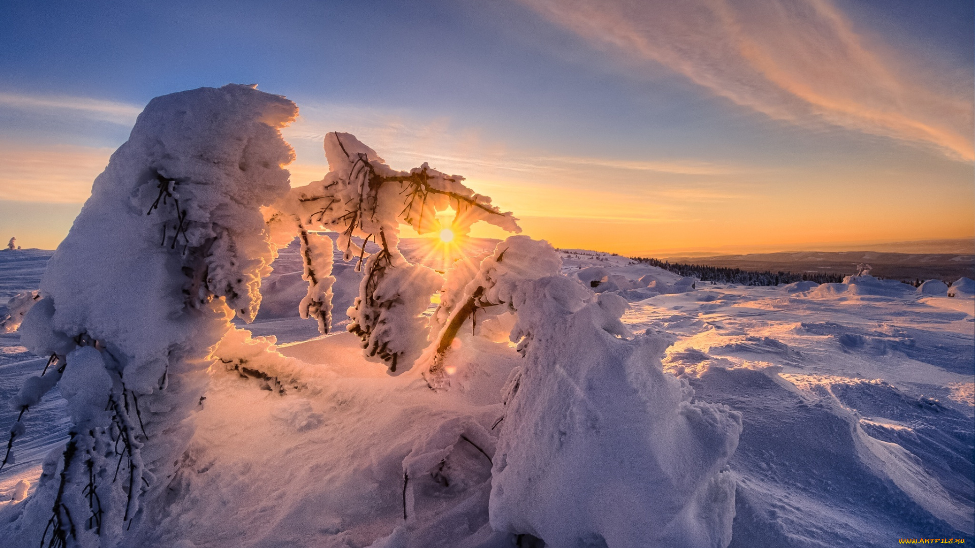 природа, зима, снег, деревья, закат